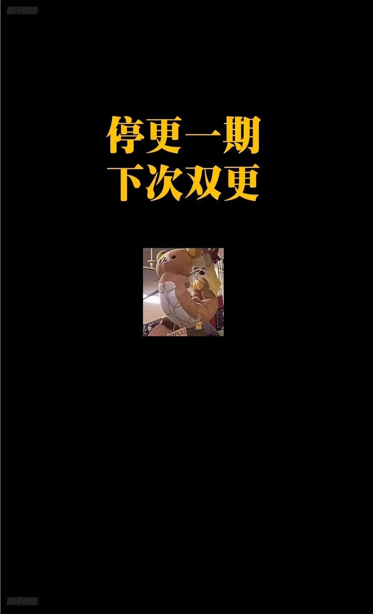 鸽之公告—— 第1页