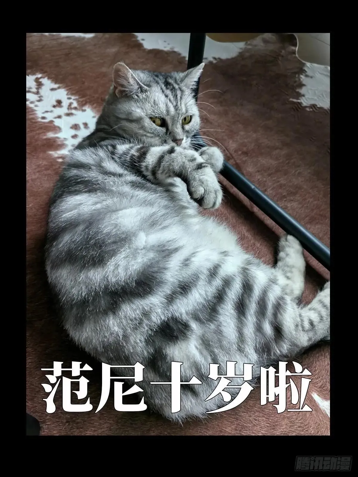 第四百五十章/百目上 第43页