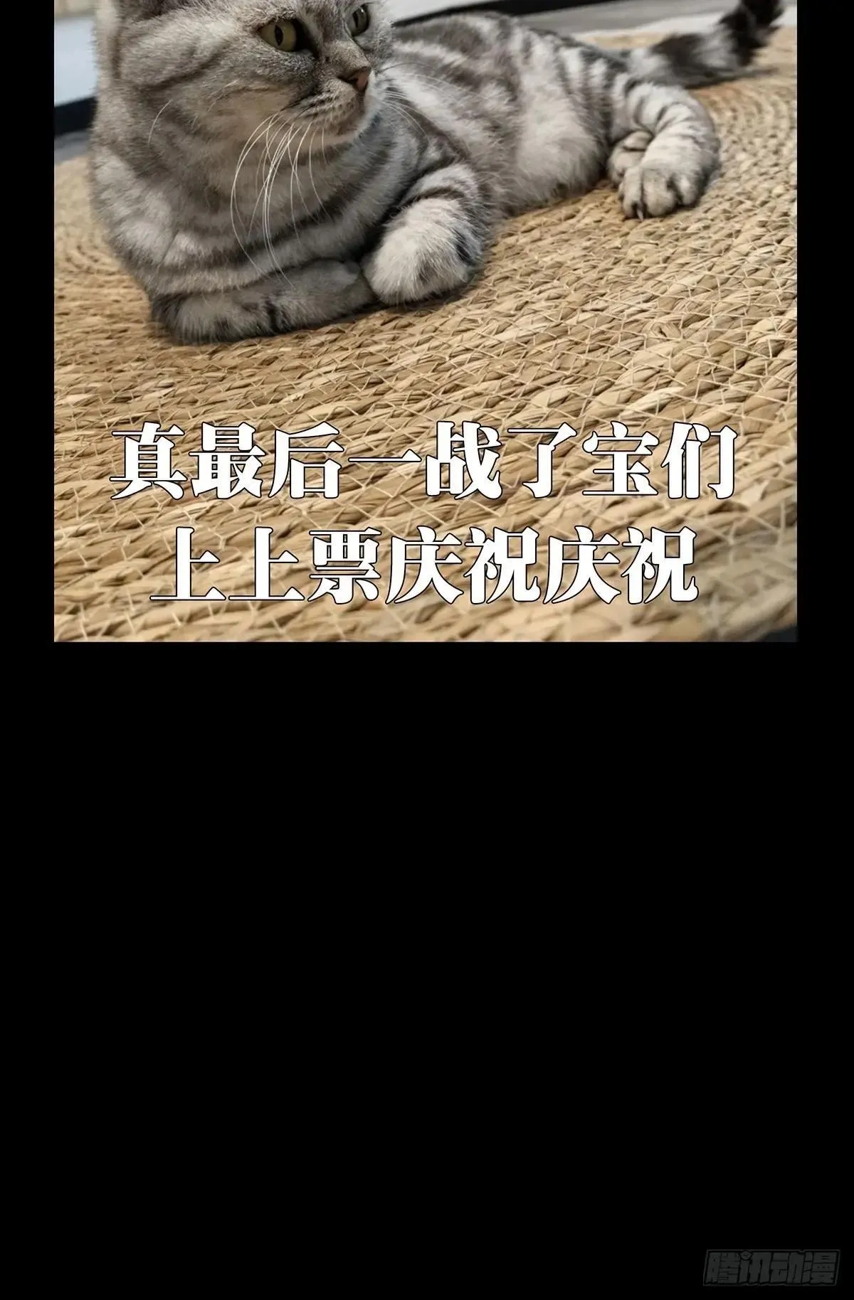 第四百五十四章/最后一战中 第46页