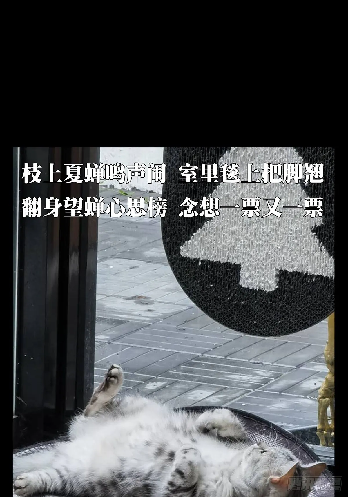 第二百四十章_失去信心下 第52页