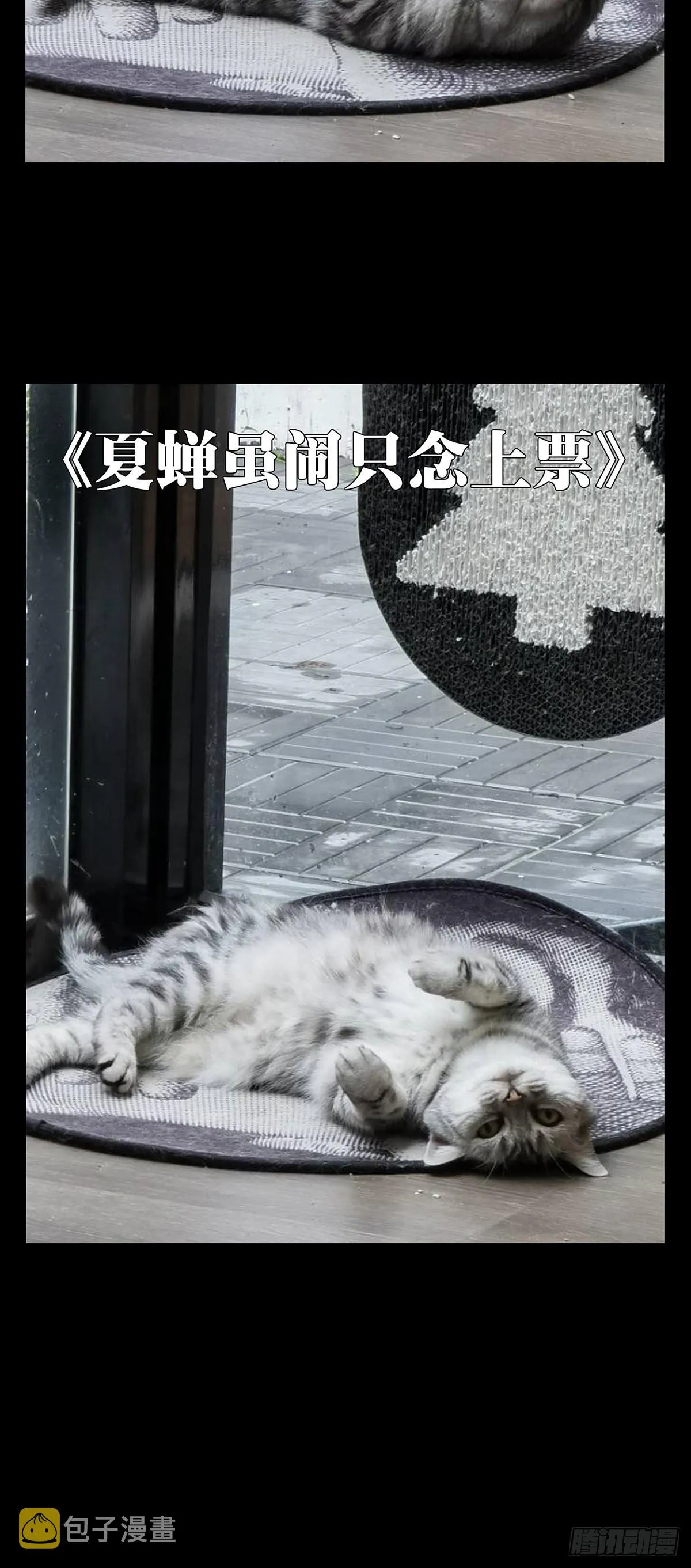 第二百四十章_失去信心下 第53页