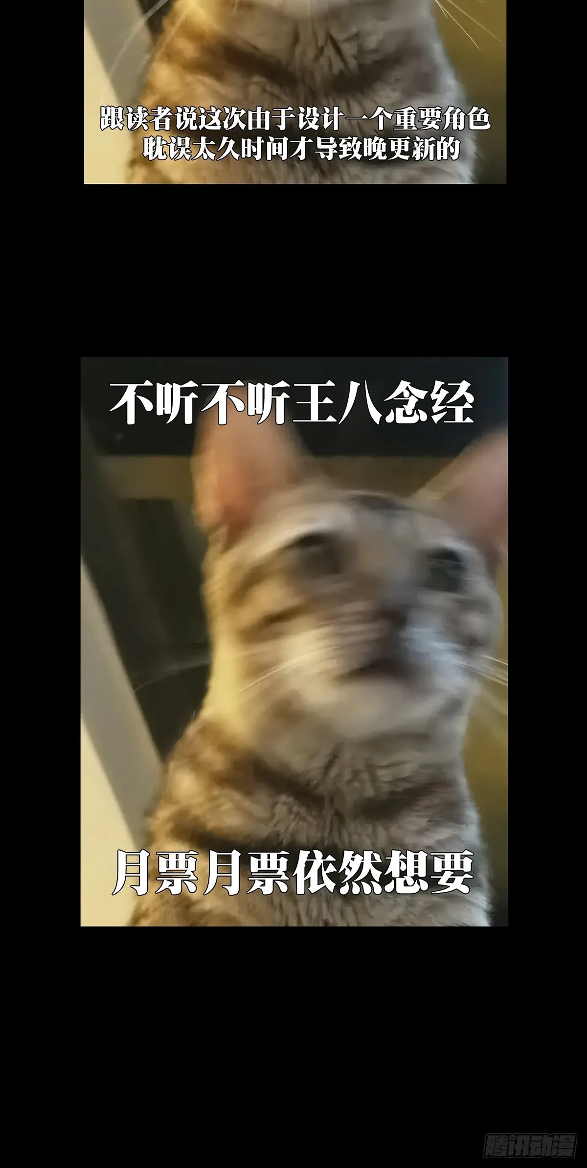 第二百三十八章_失去信心上 第51页