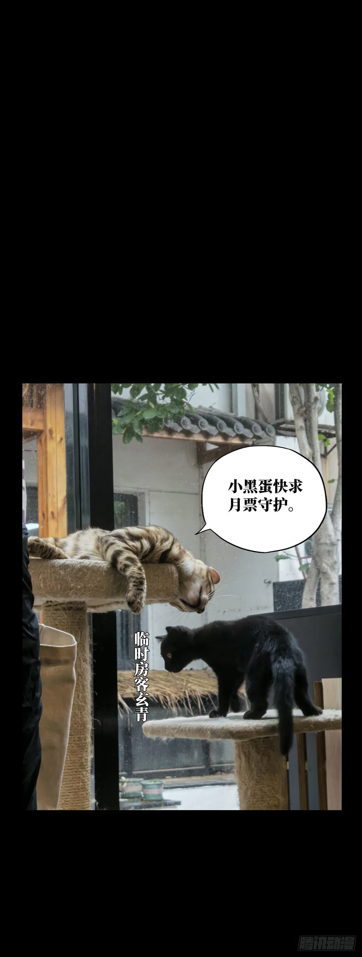 第二百三十三章_小巫主中 第37页