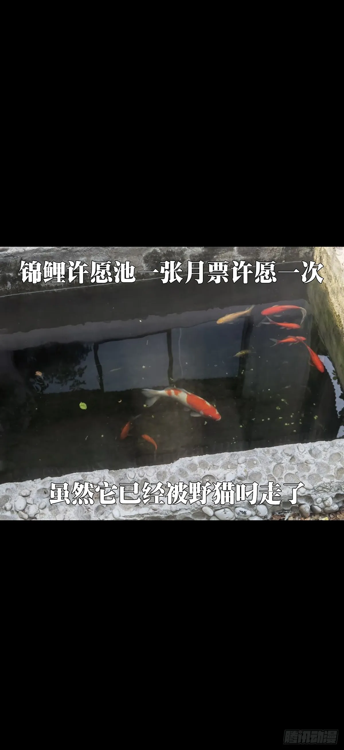 第二百二十八章_抢房子下 第47页