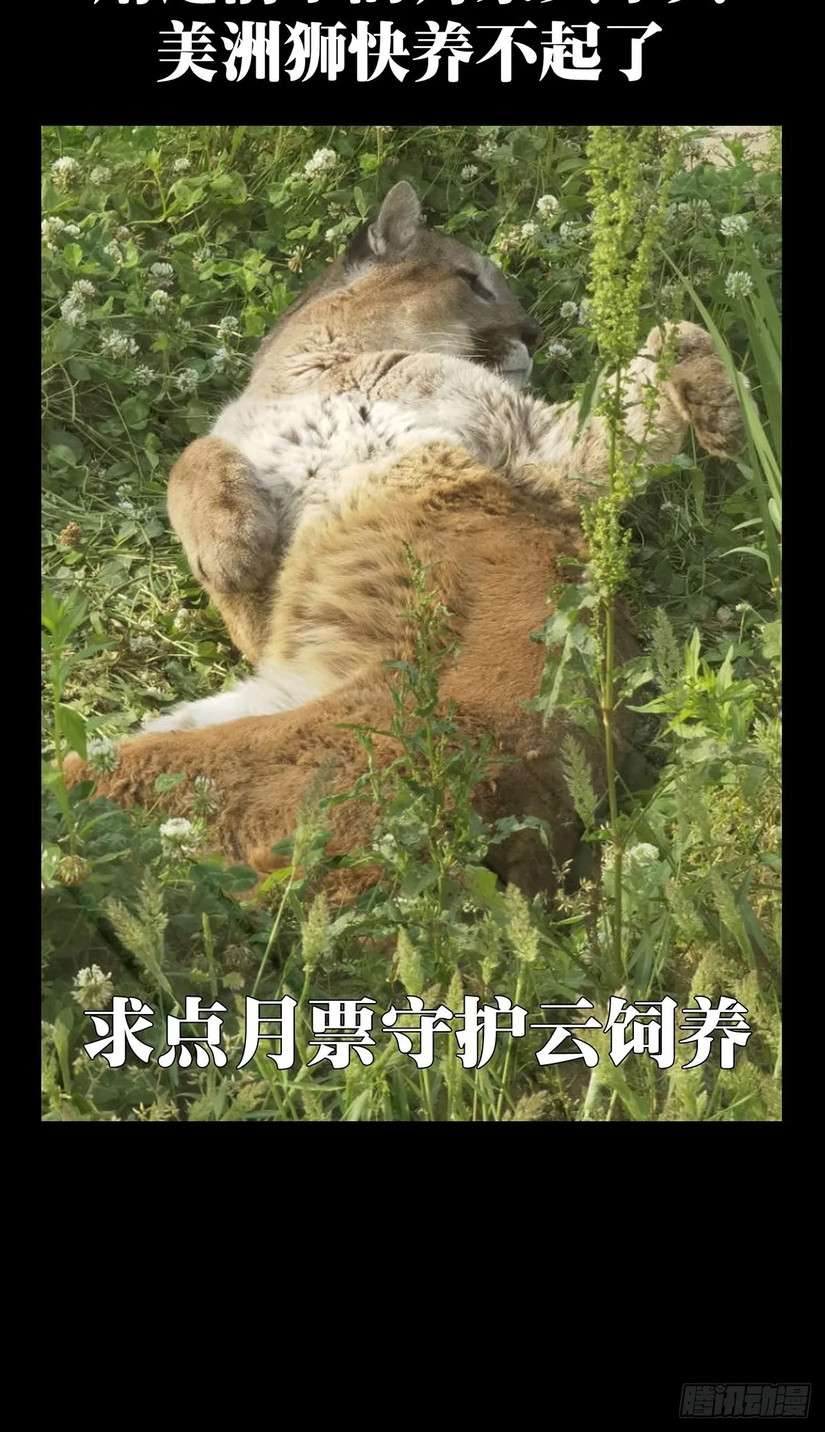 第二百二十六章_抢房子上 第48页