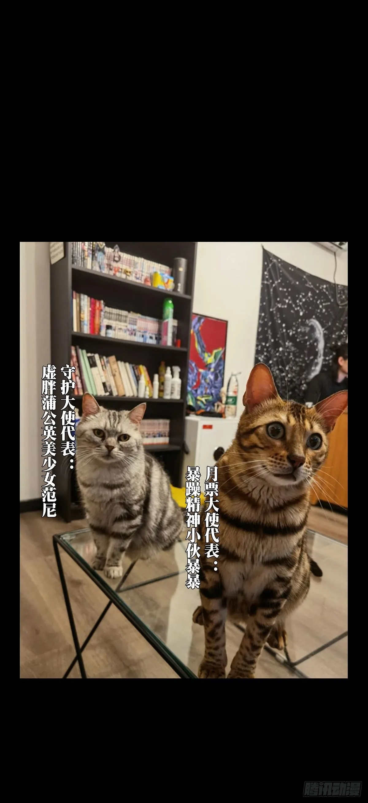 第二百二十五章_夺魁赛开始下 第38页