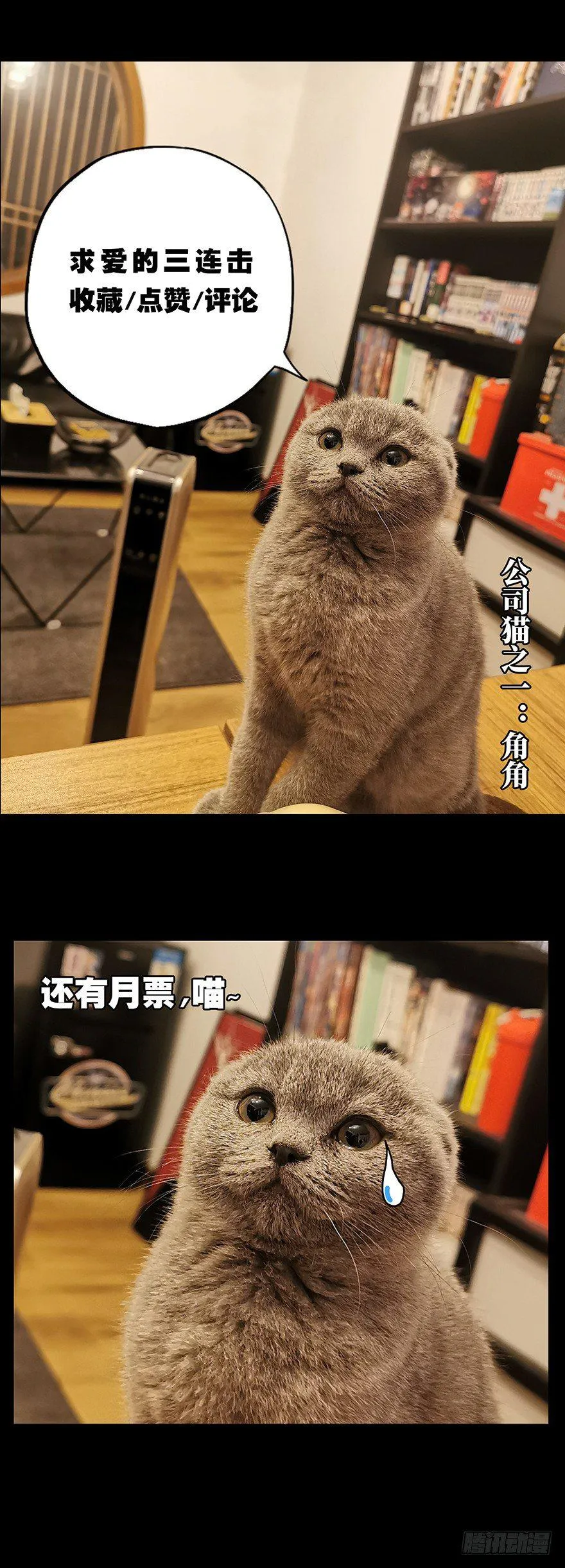 第十四章_番天世界上 第46页