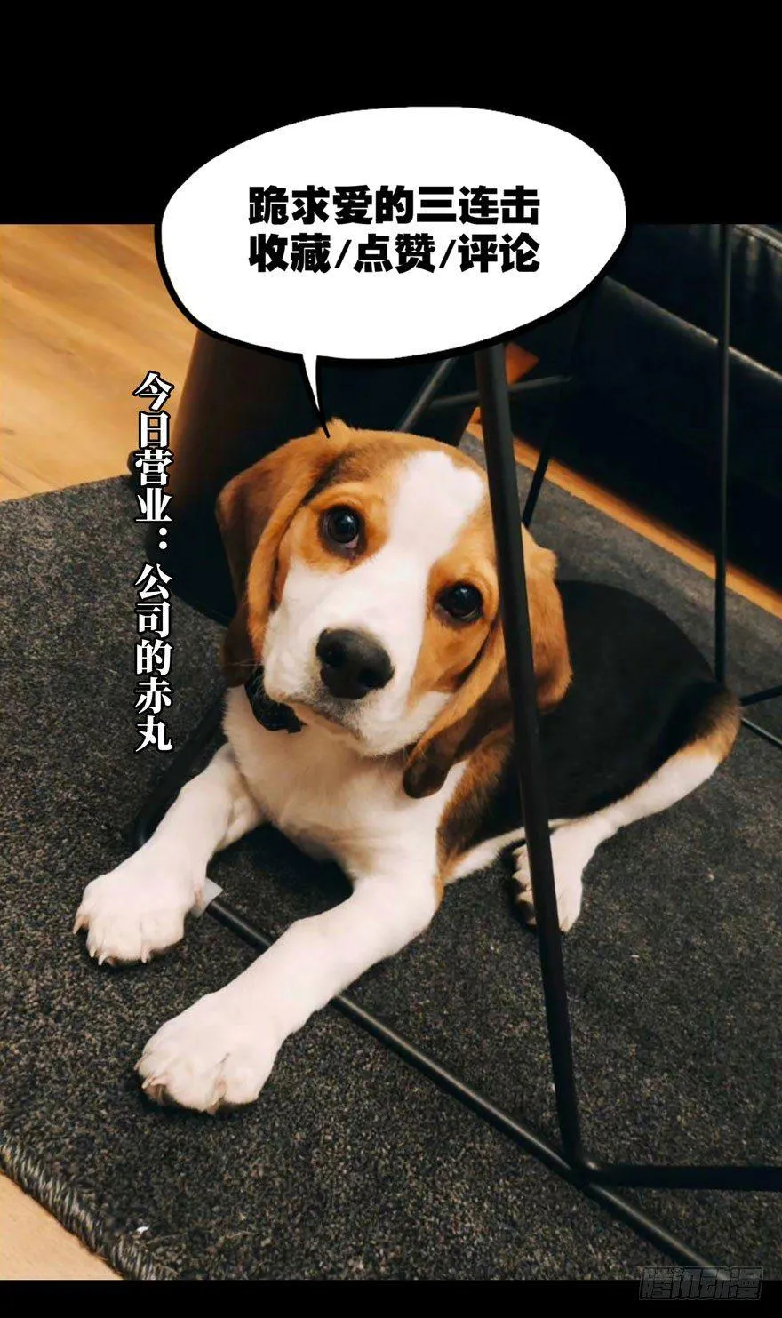第二十六章_封存上 第39页