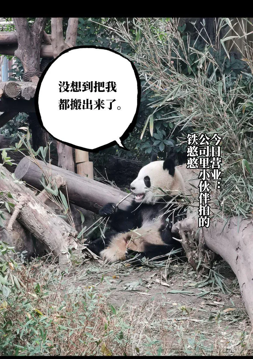 第二十五章_命数下 第33页