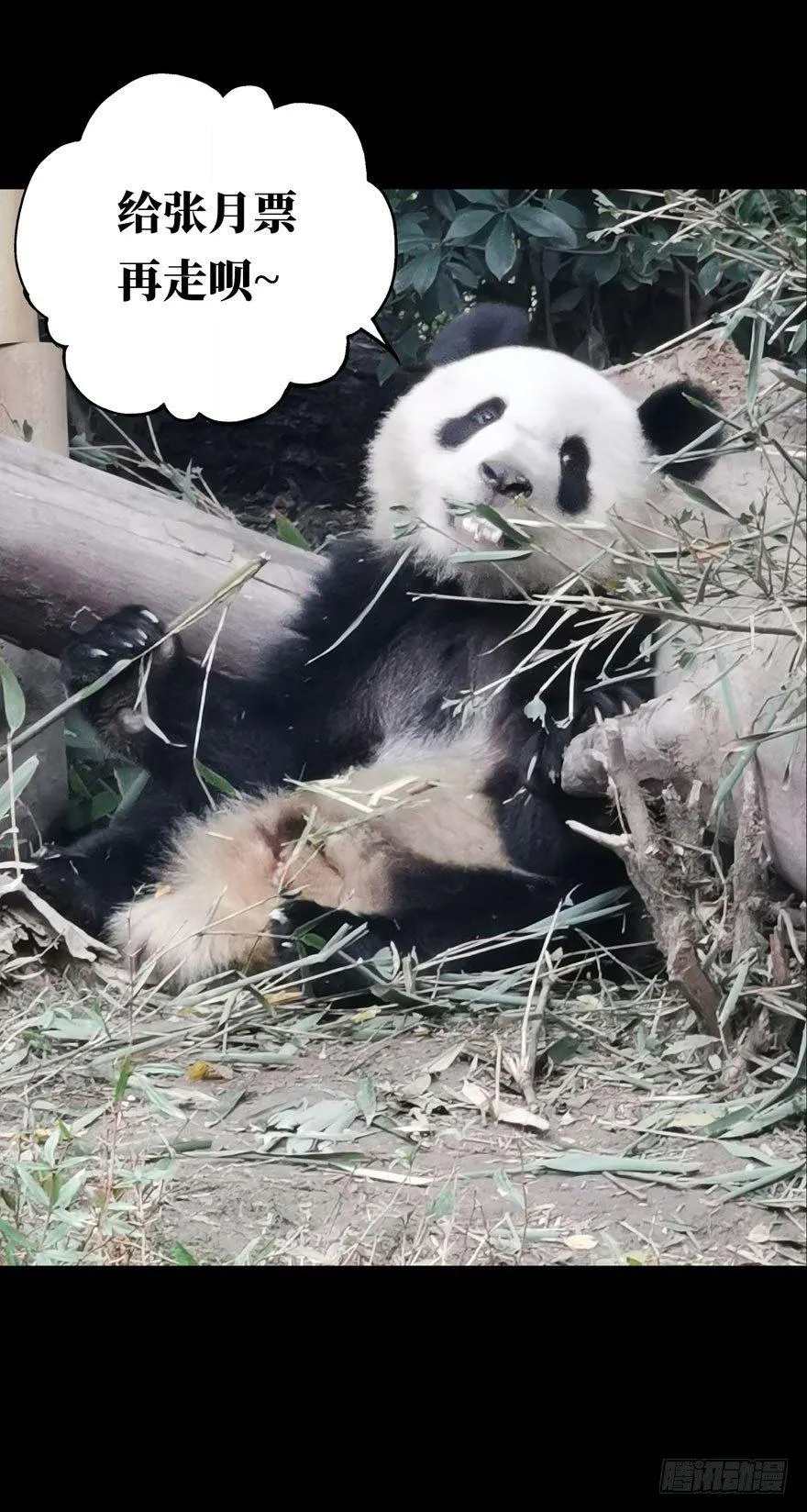 第二十五章_命数下 第34页