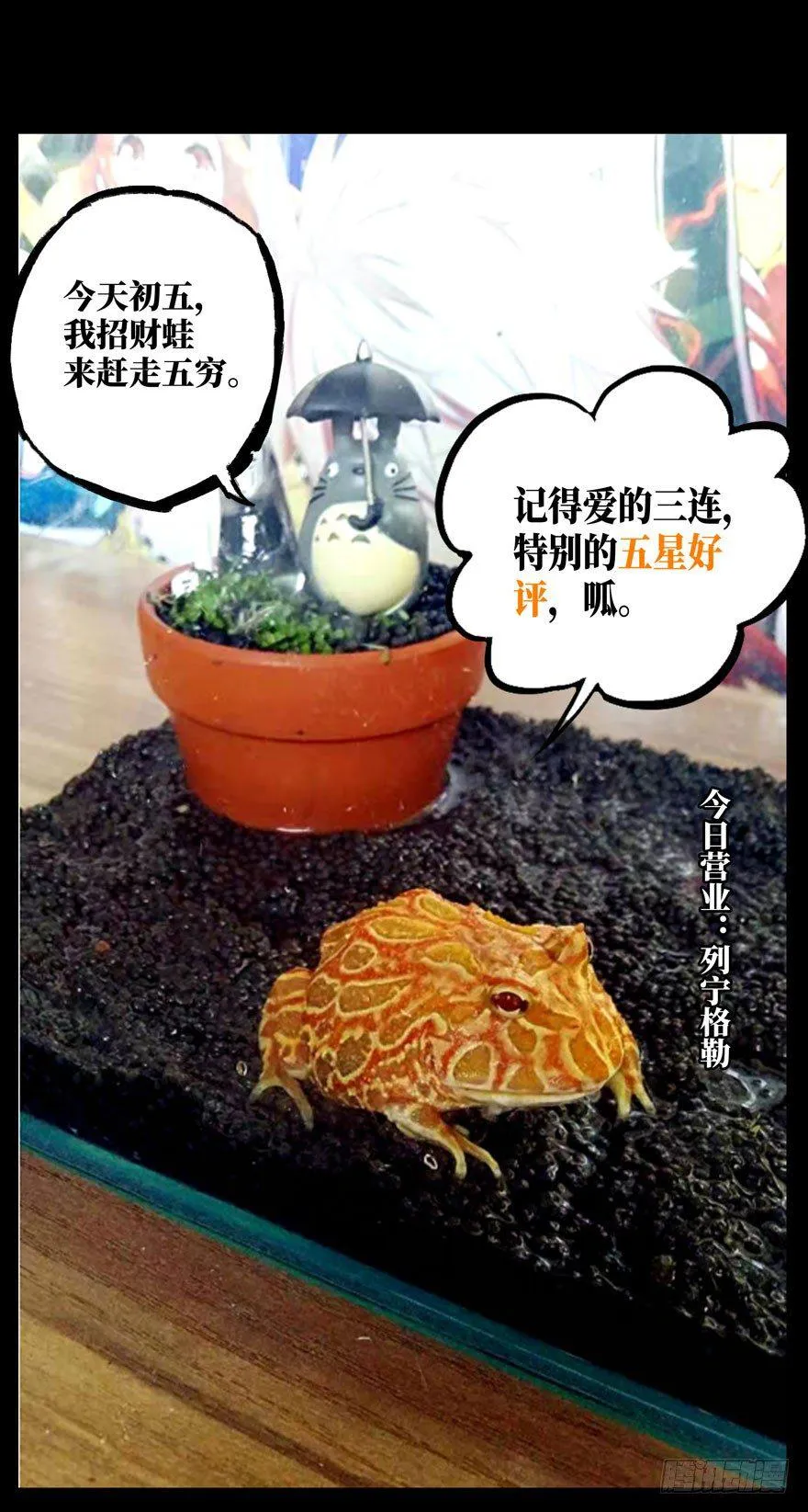 第三十一章_加入下 第43页