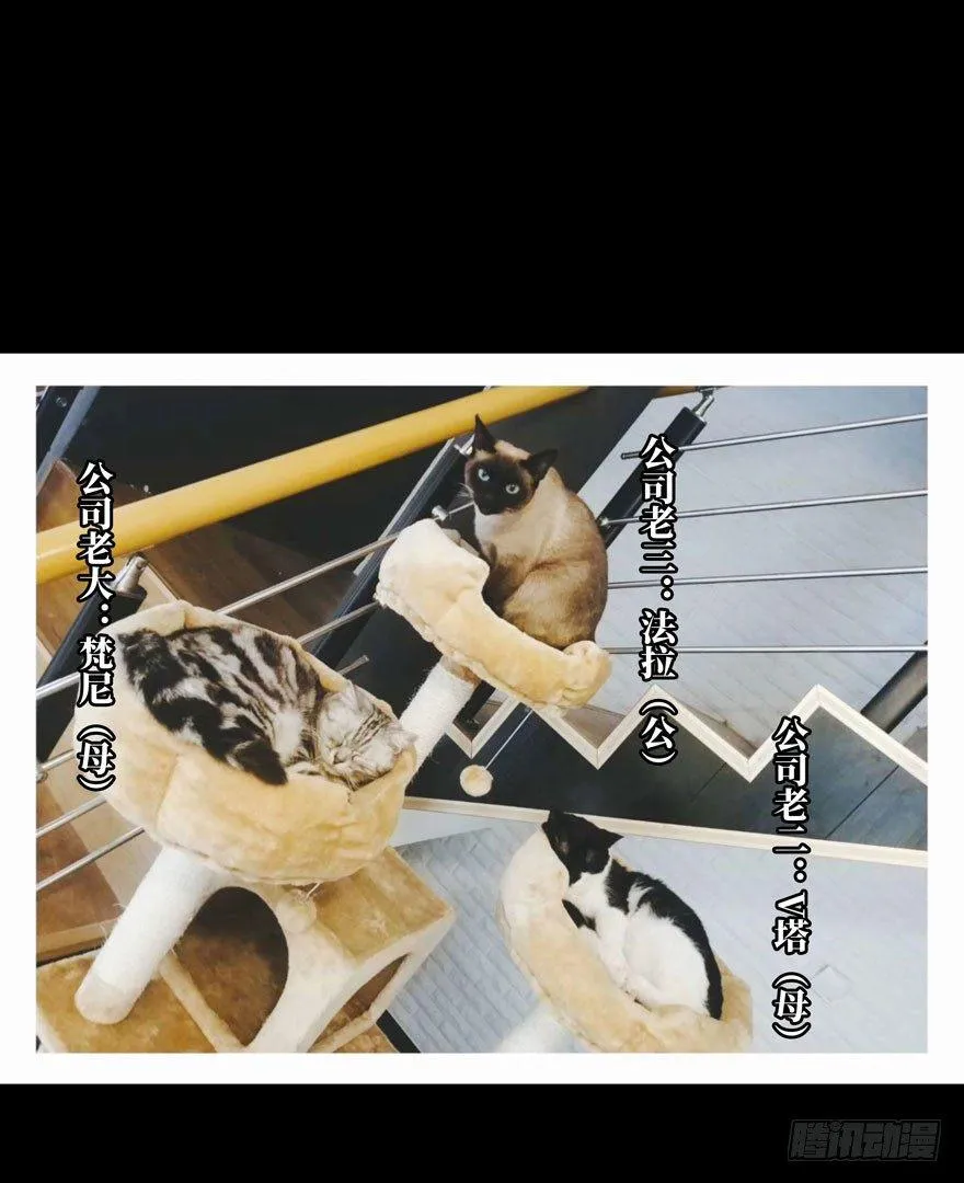 第三十五章_考验上 第39页