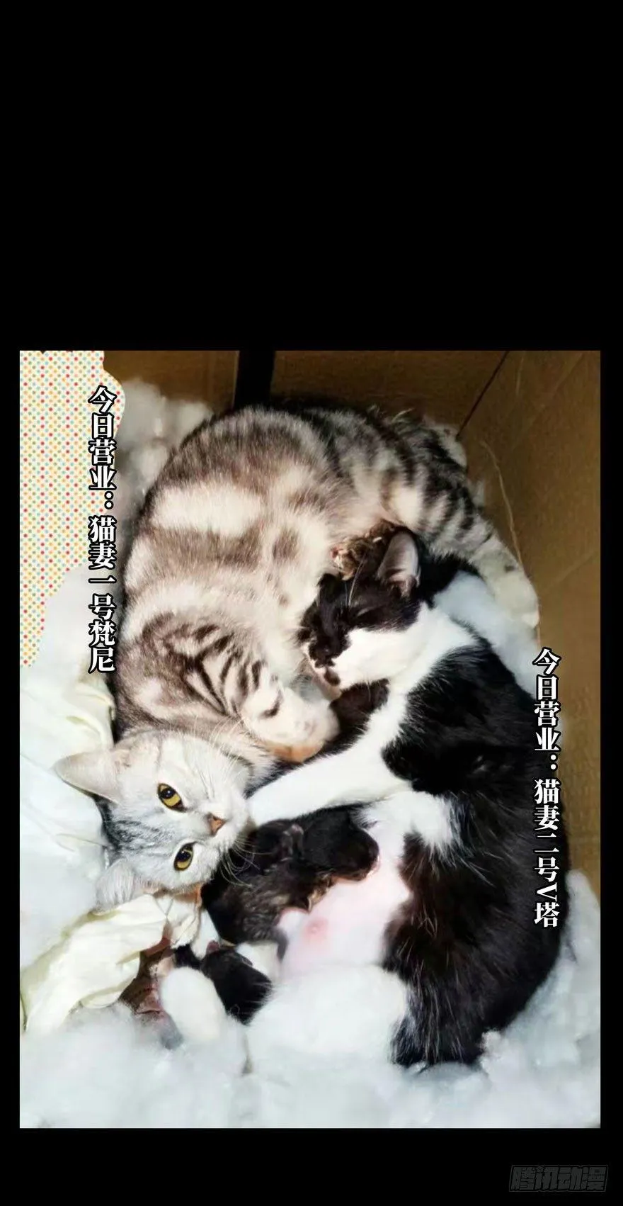 第三十八章_洗砚古宅上 第36页