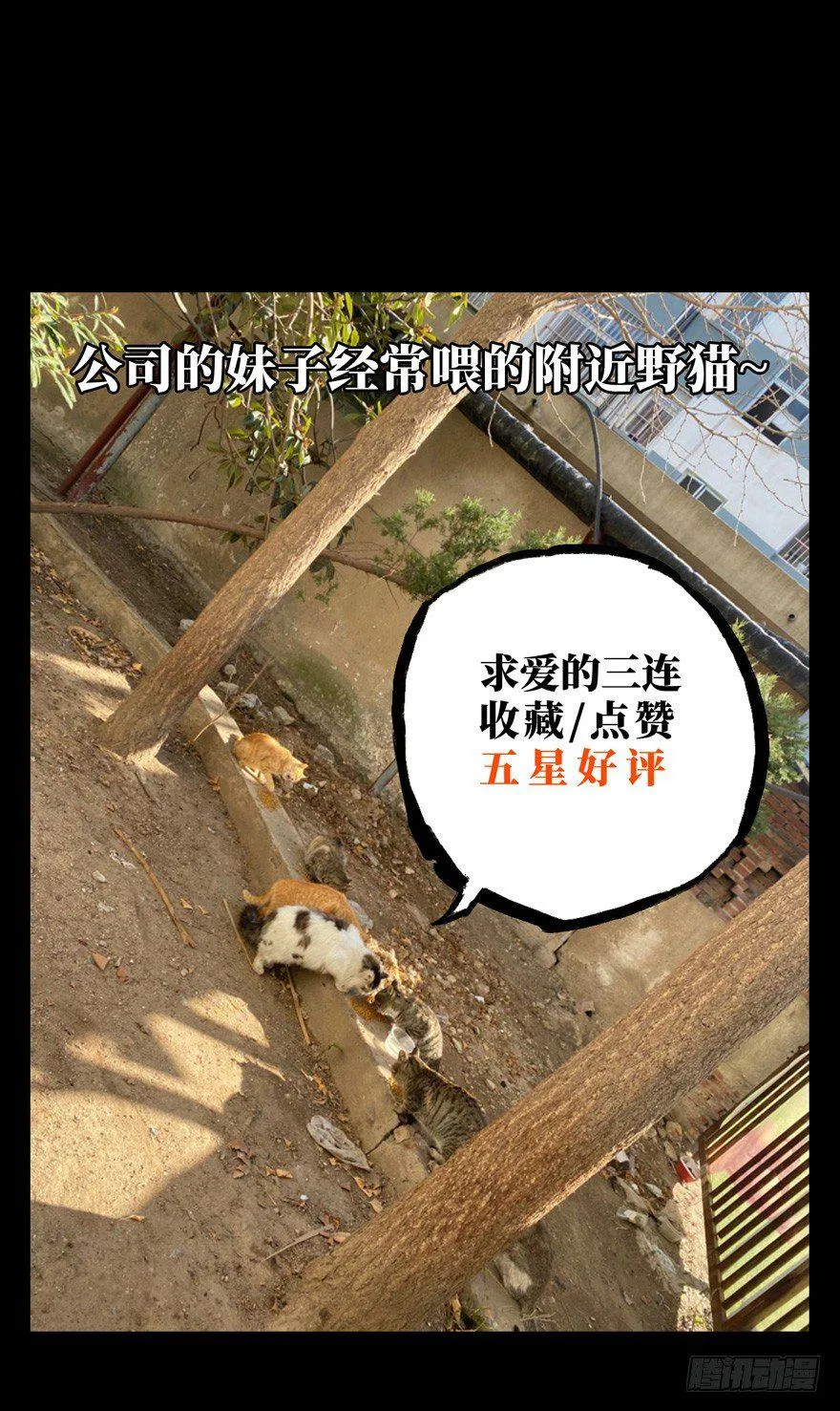 第四十一章_看门者上 第39页