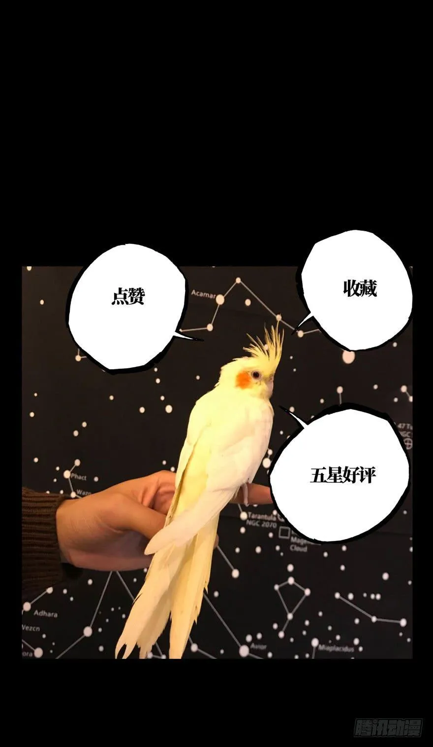 第三十九章_洗砚古宅中 第51页