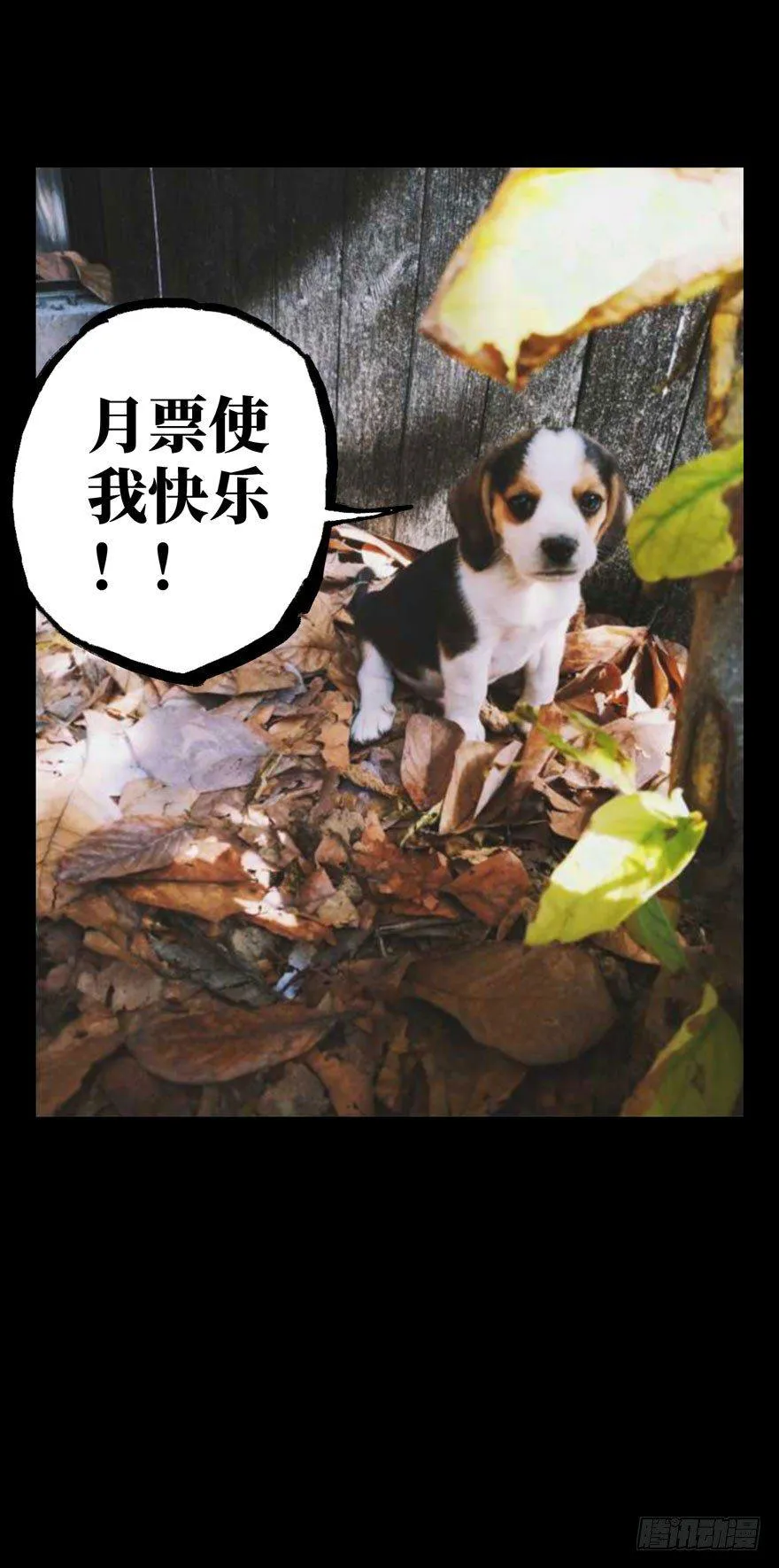第四十章_洗砚古宅下 第49页