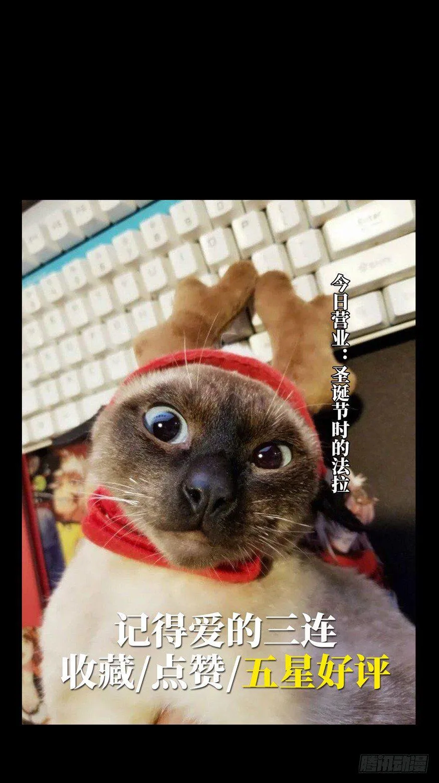 第四十四章_悲剧上 第43页