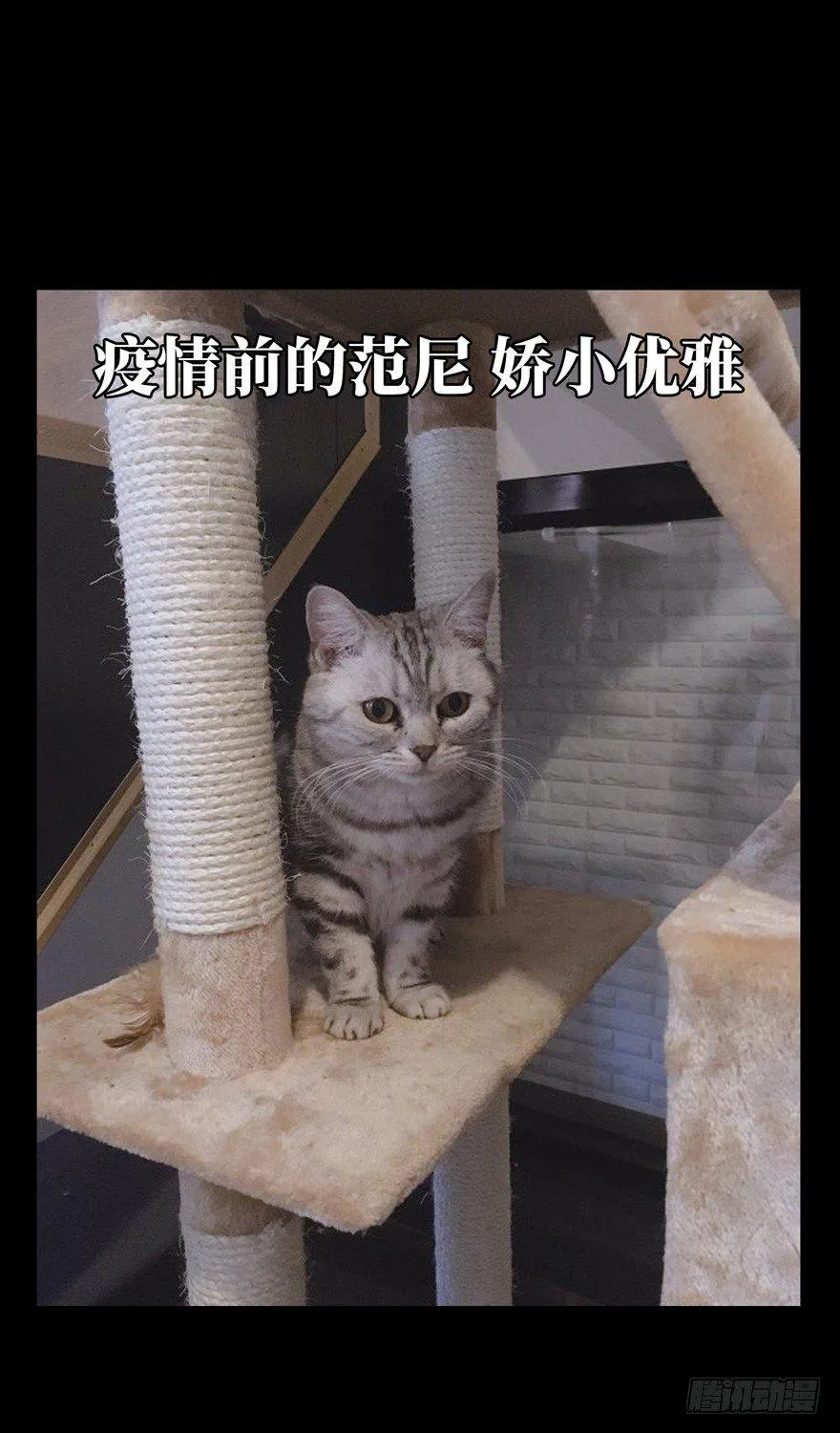 第四十六章_悲剧下 第44页