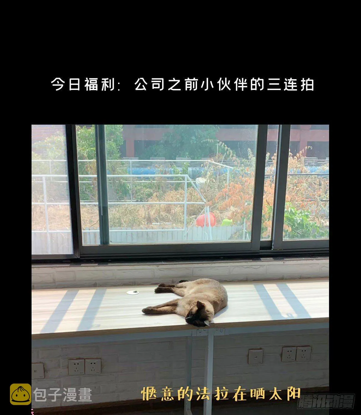 第五十五章_方仙术士下 第43页