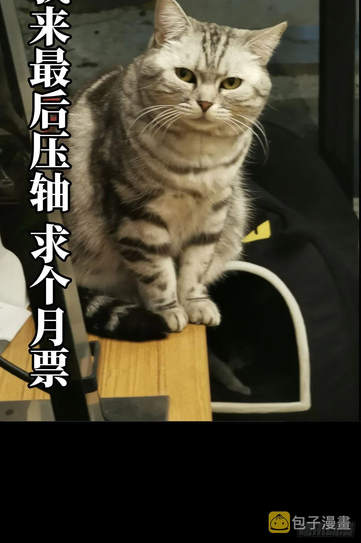 第五十五章_方仙术士下 第46页