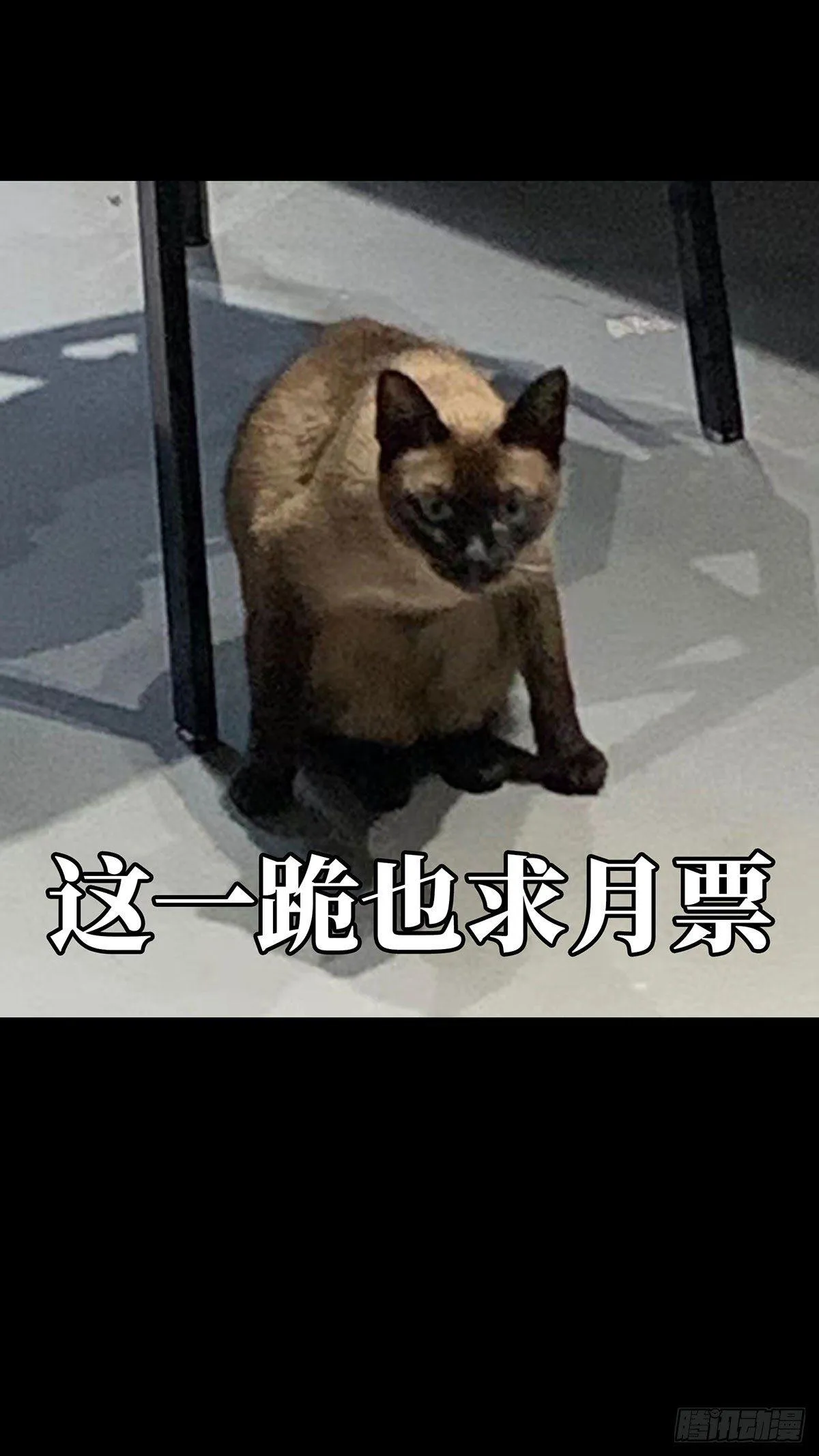 第五十六章_家上 第40页