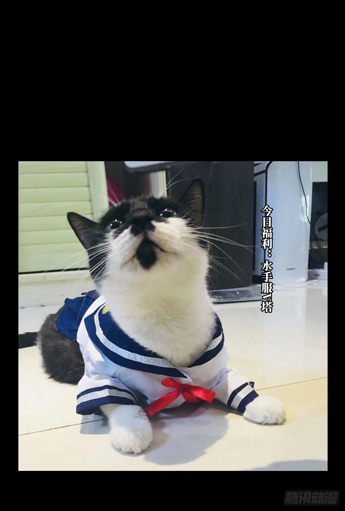 第六十章_信任中 第34页