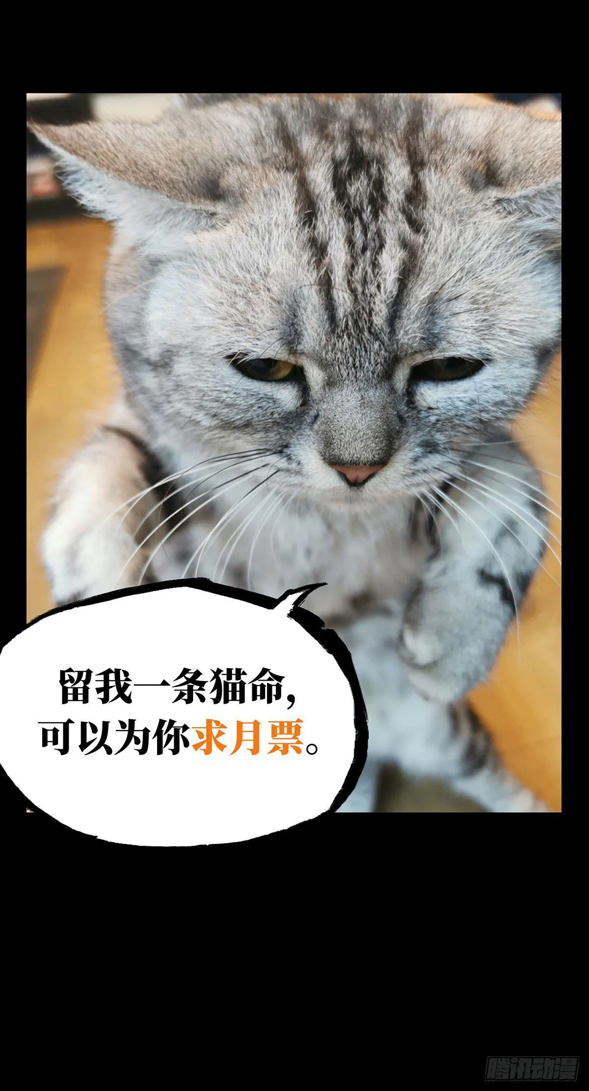 第六十一章_信任下 第37页