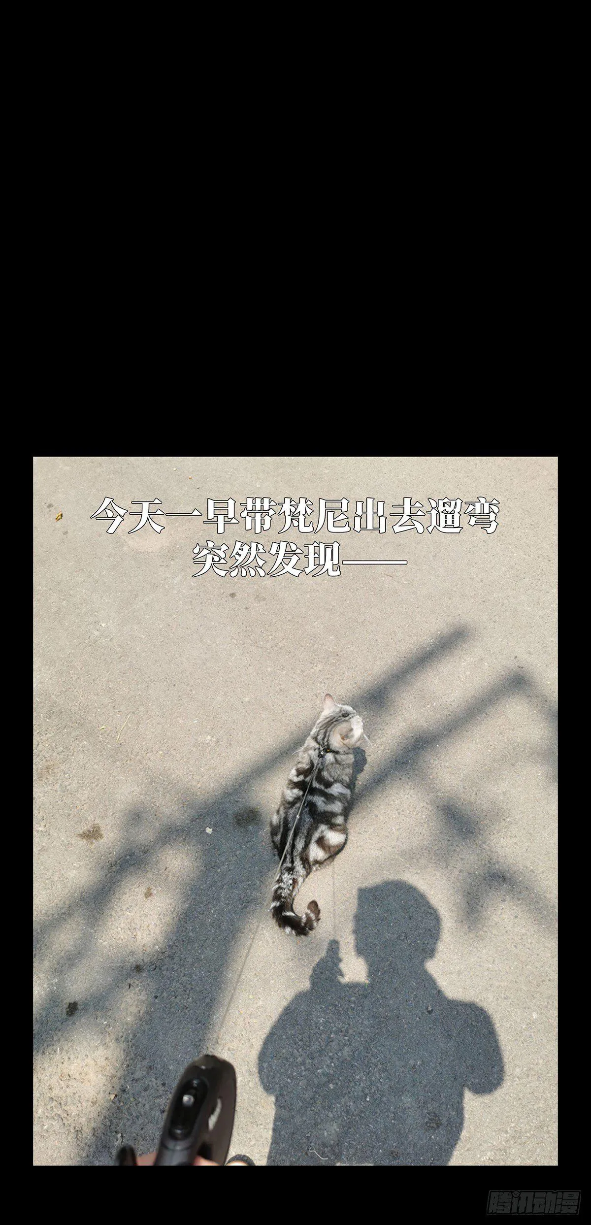 第六十二章_刀与盾上 第44页