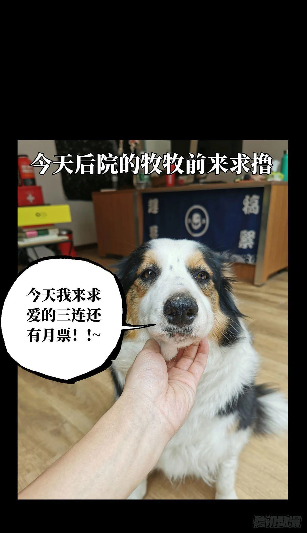 第六十四章_刀与盾下 第41页