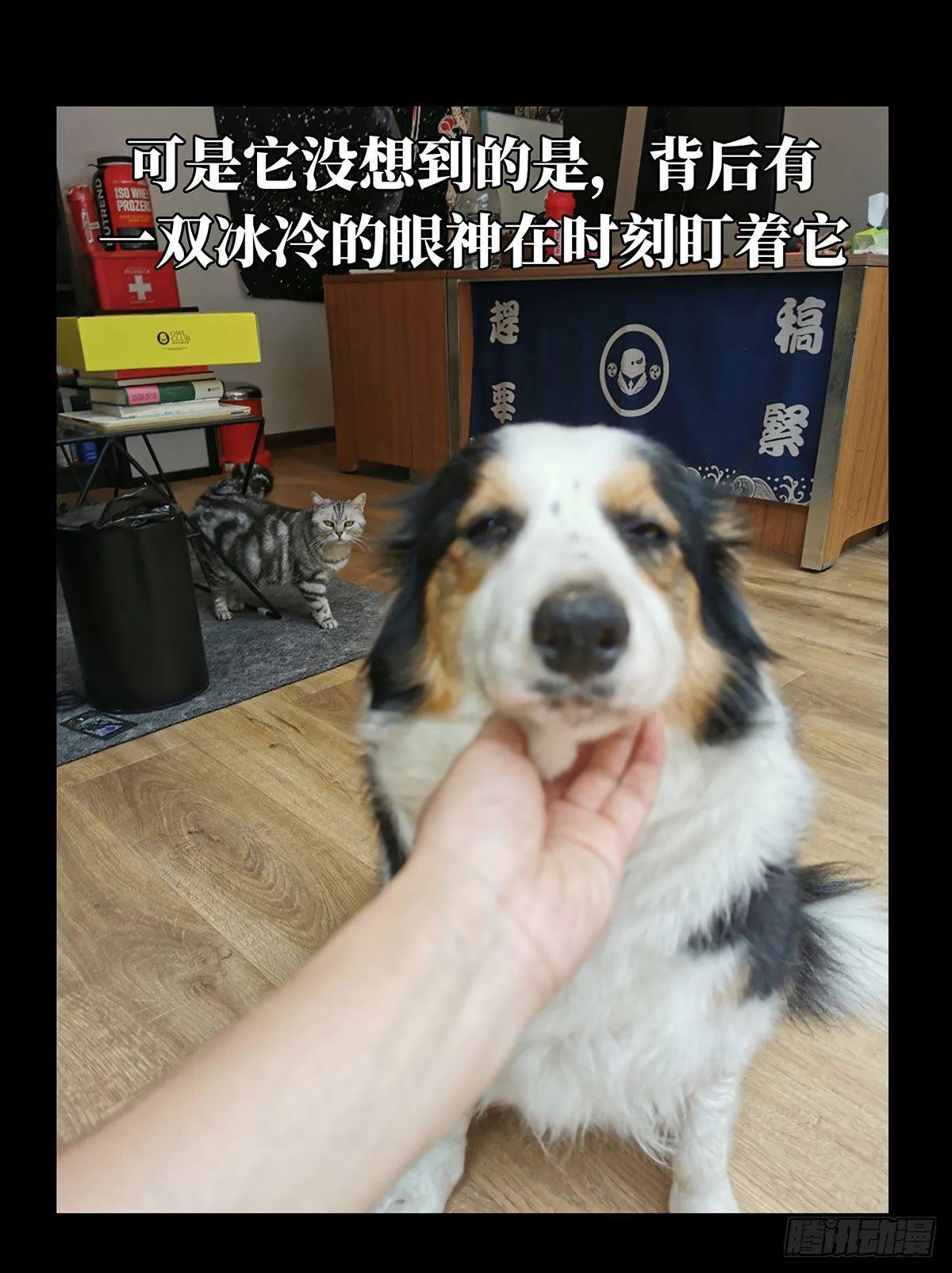 第六十四章_刀与盾下 第42页