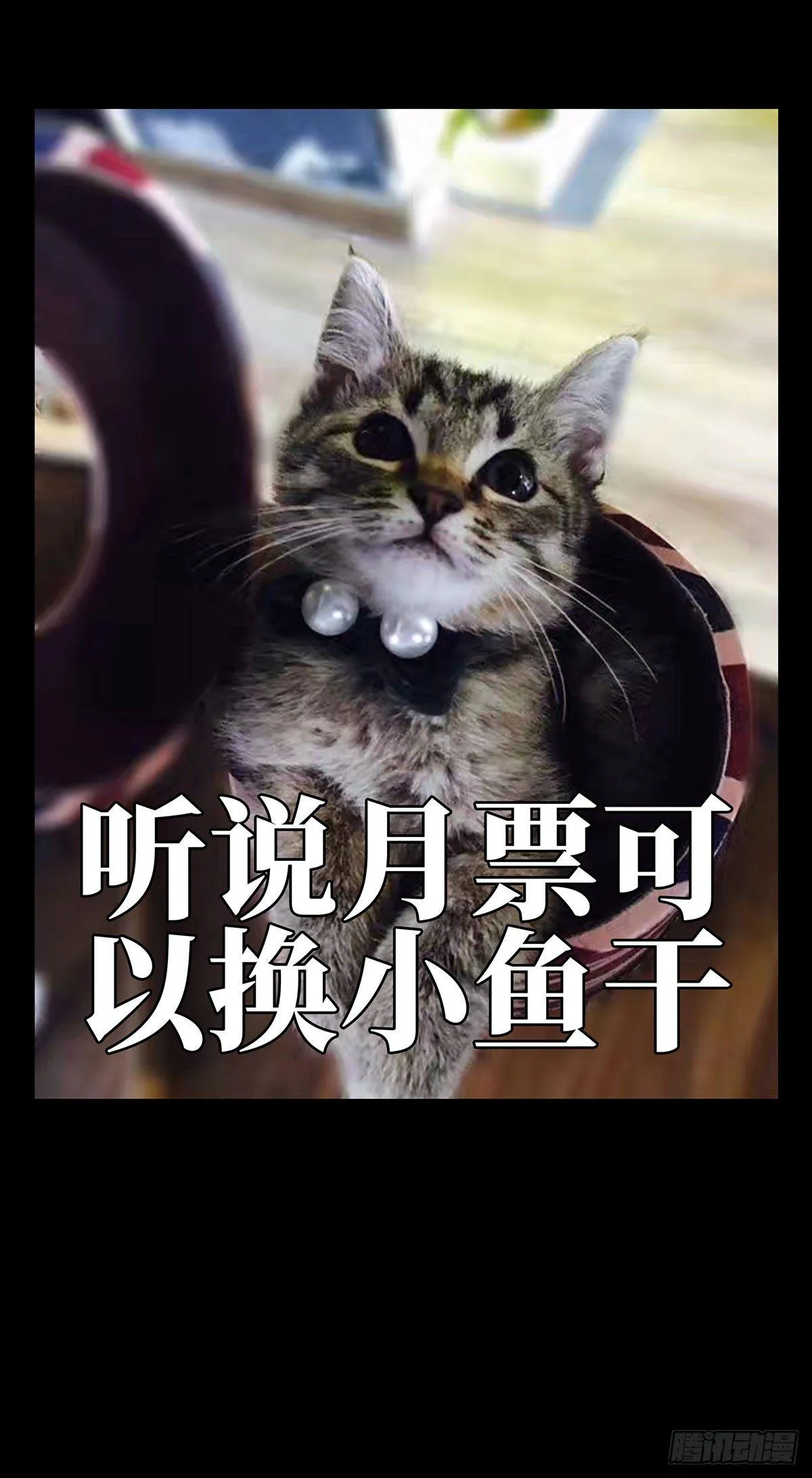 第六十三章_刀与盾中 第38页