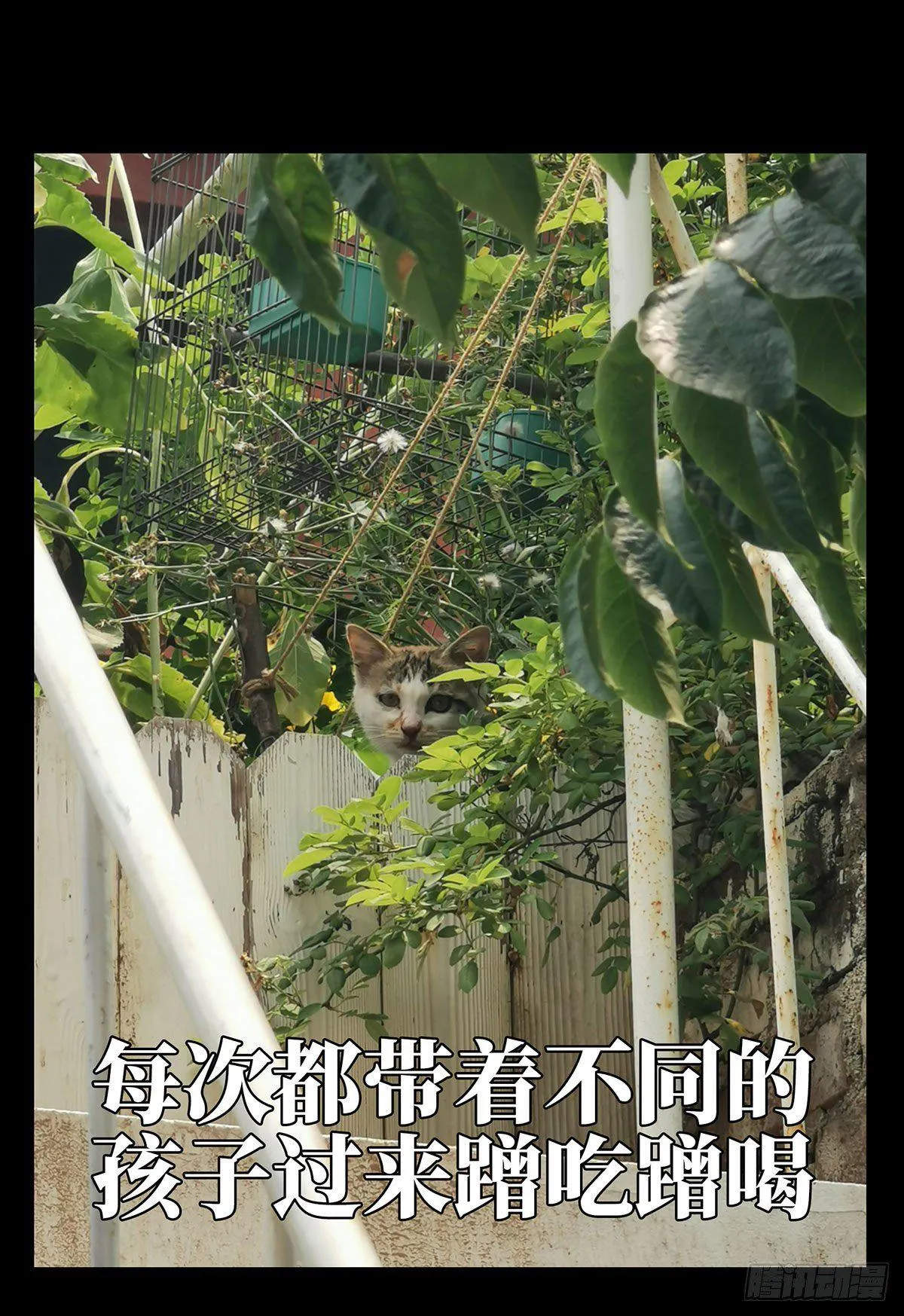 第六十六章_病态中 第40页