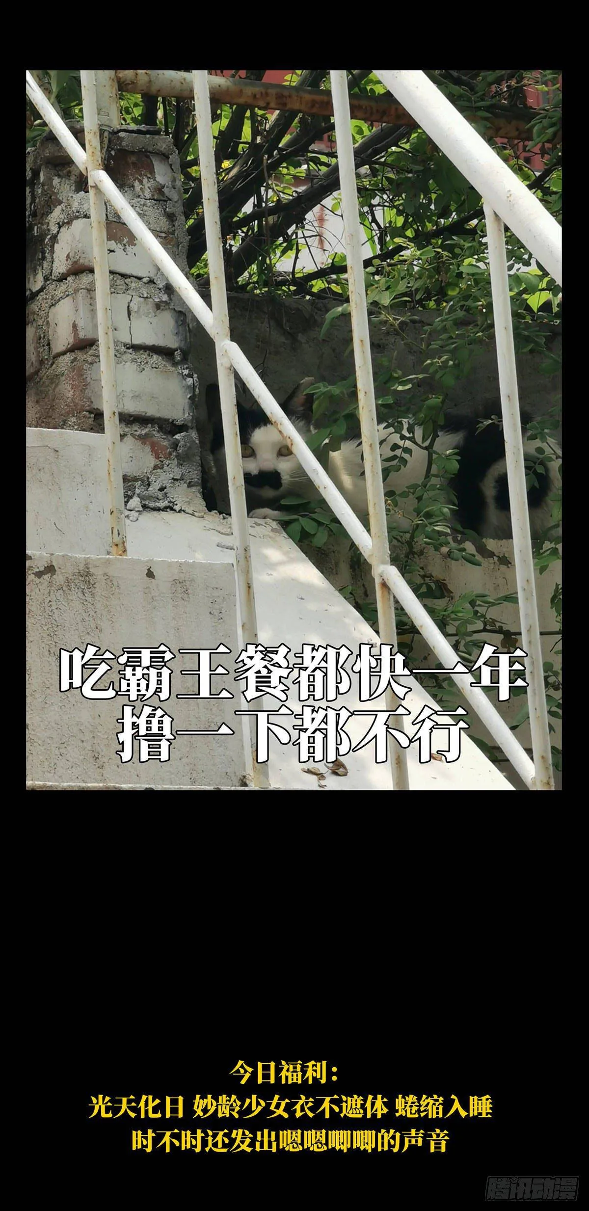 第六十六章_病态中 第41页