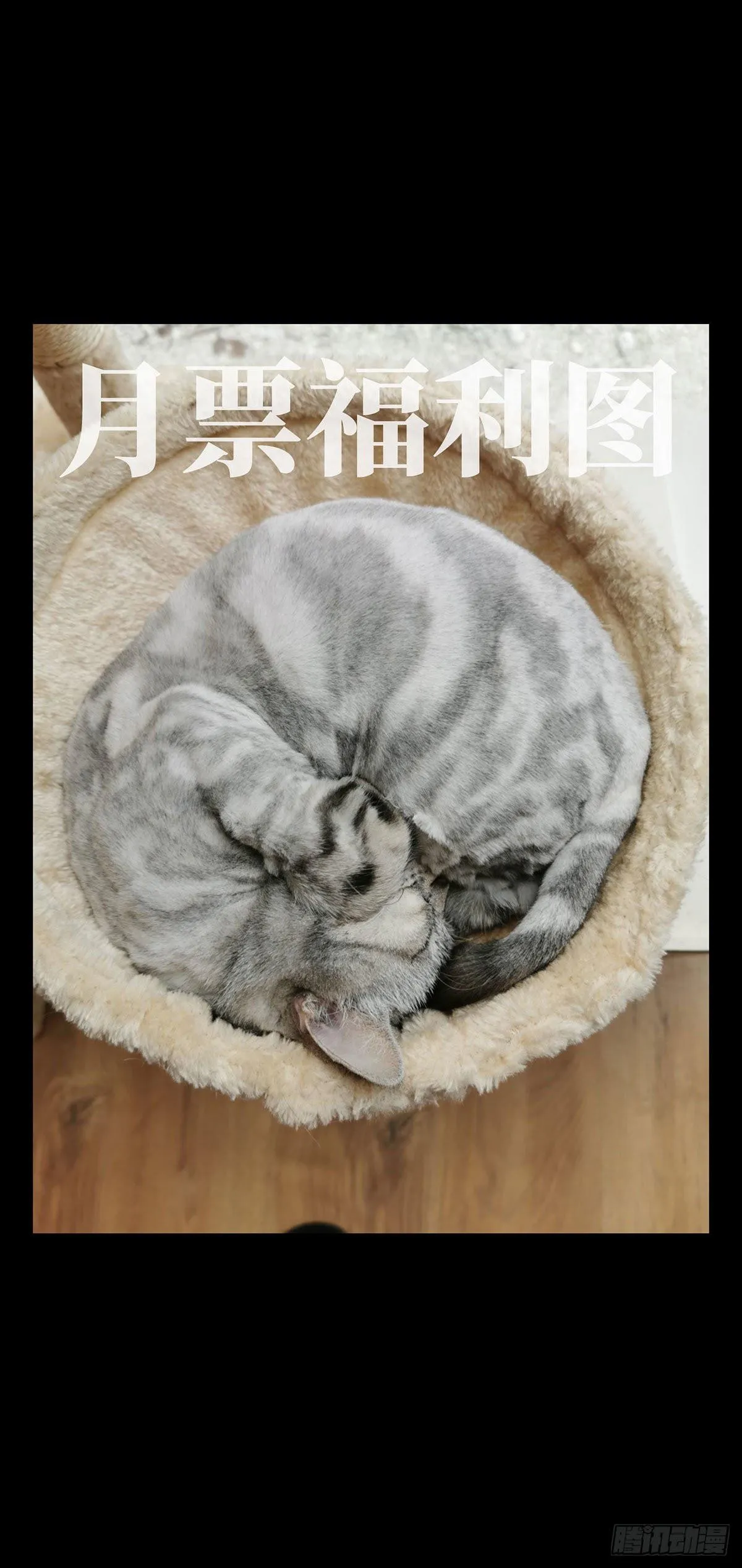 第六十六章_病态中 第42页
