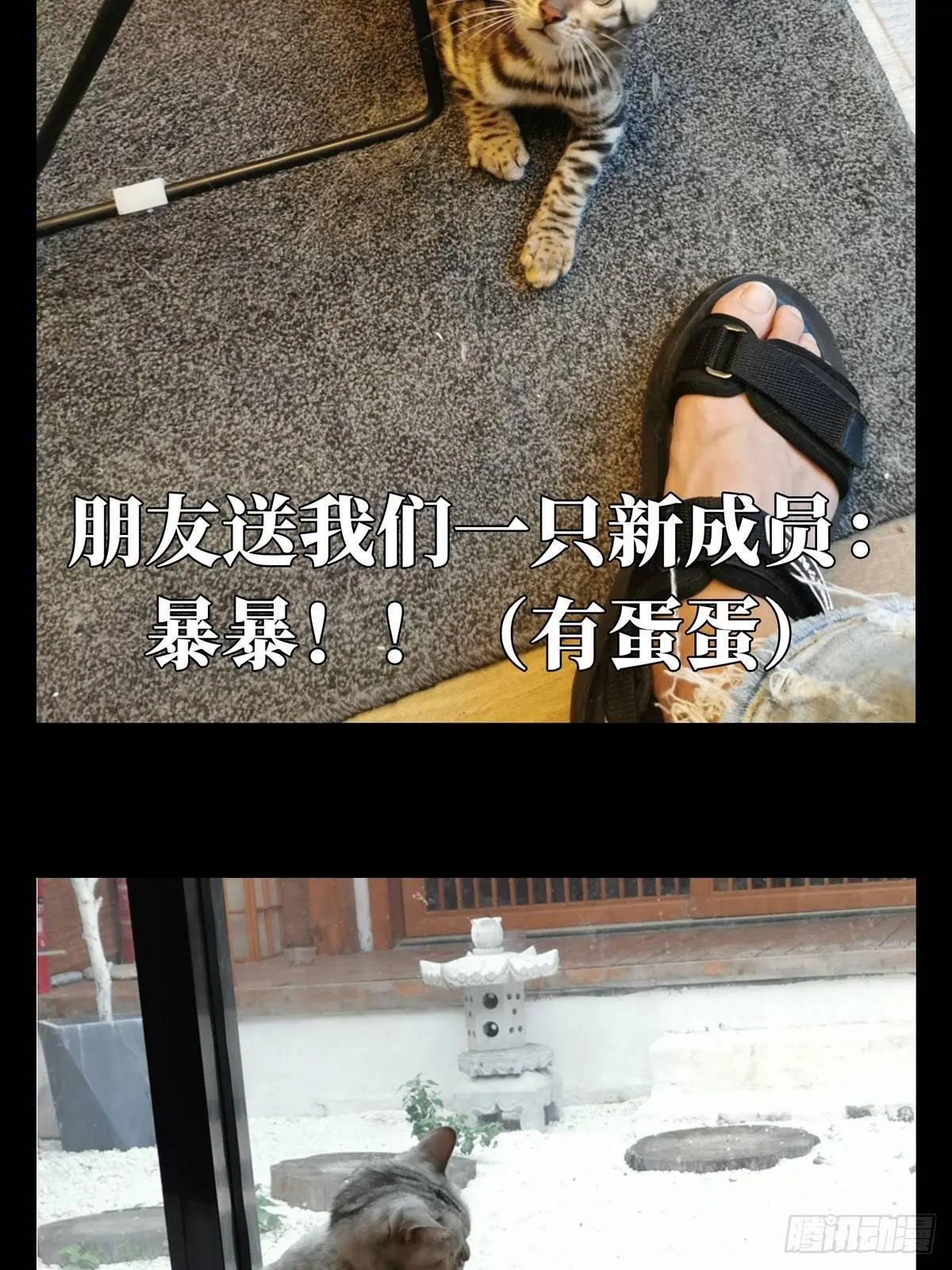 第六十七章_病态下 第44页
