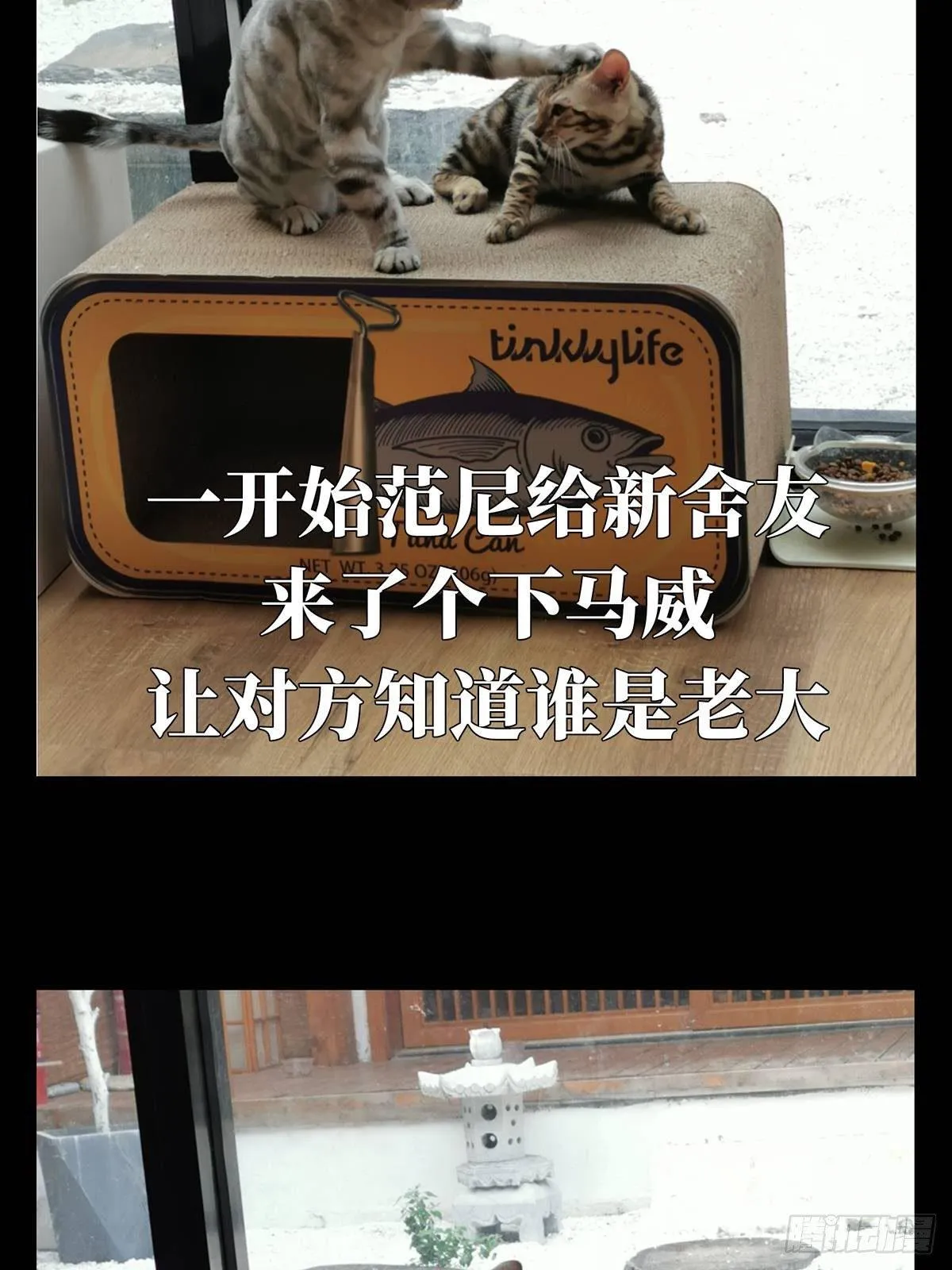 第六十七章_病态下 第45页