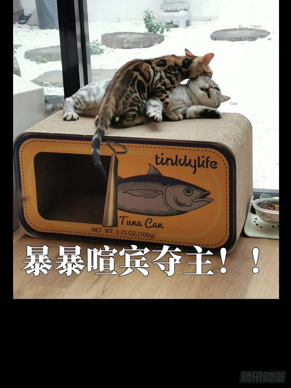 第六十七章_病态下 第47页