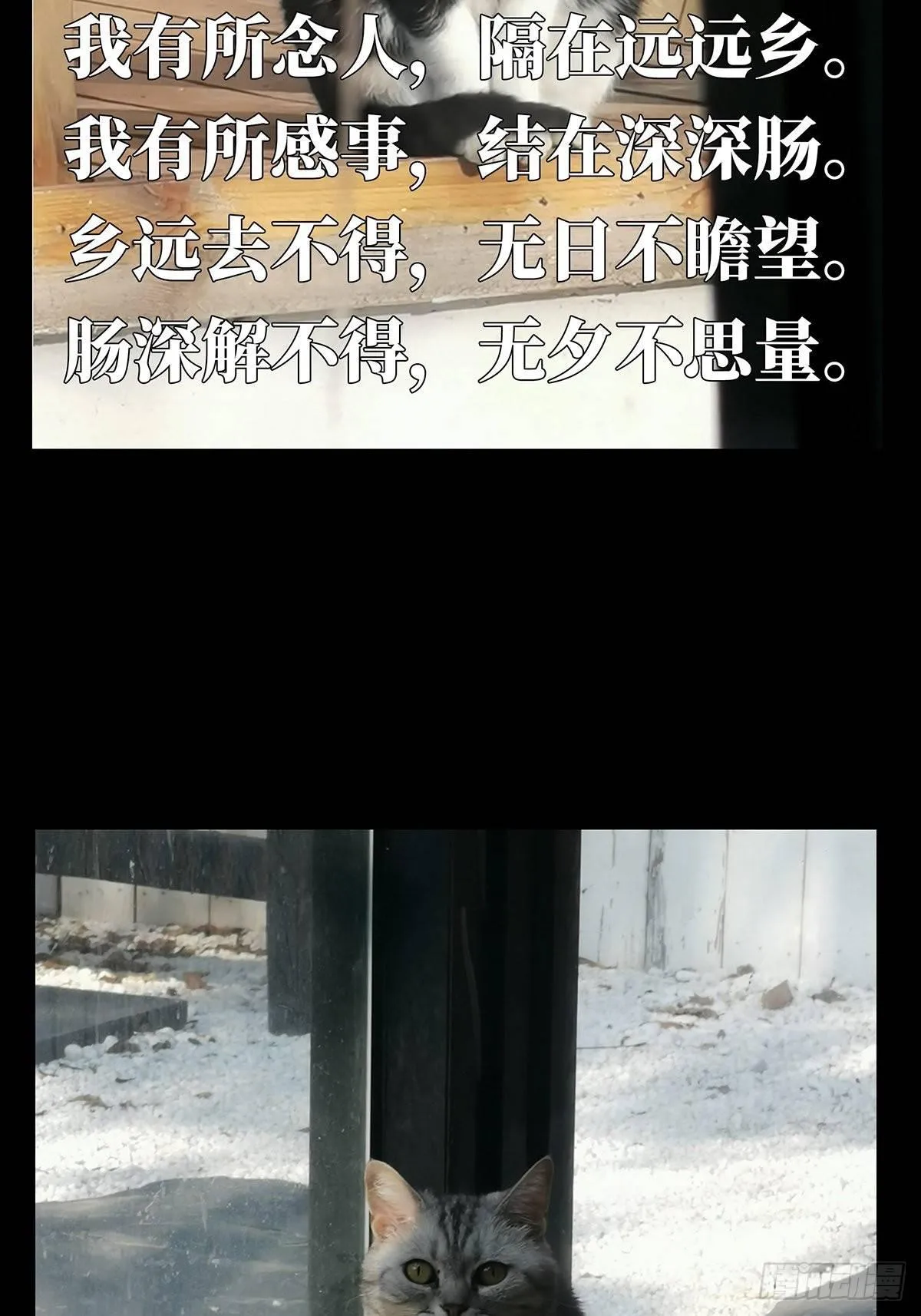 第六十九章_至死不渝中 第33页