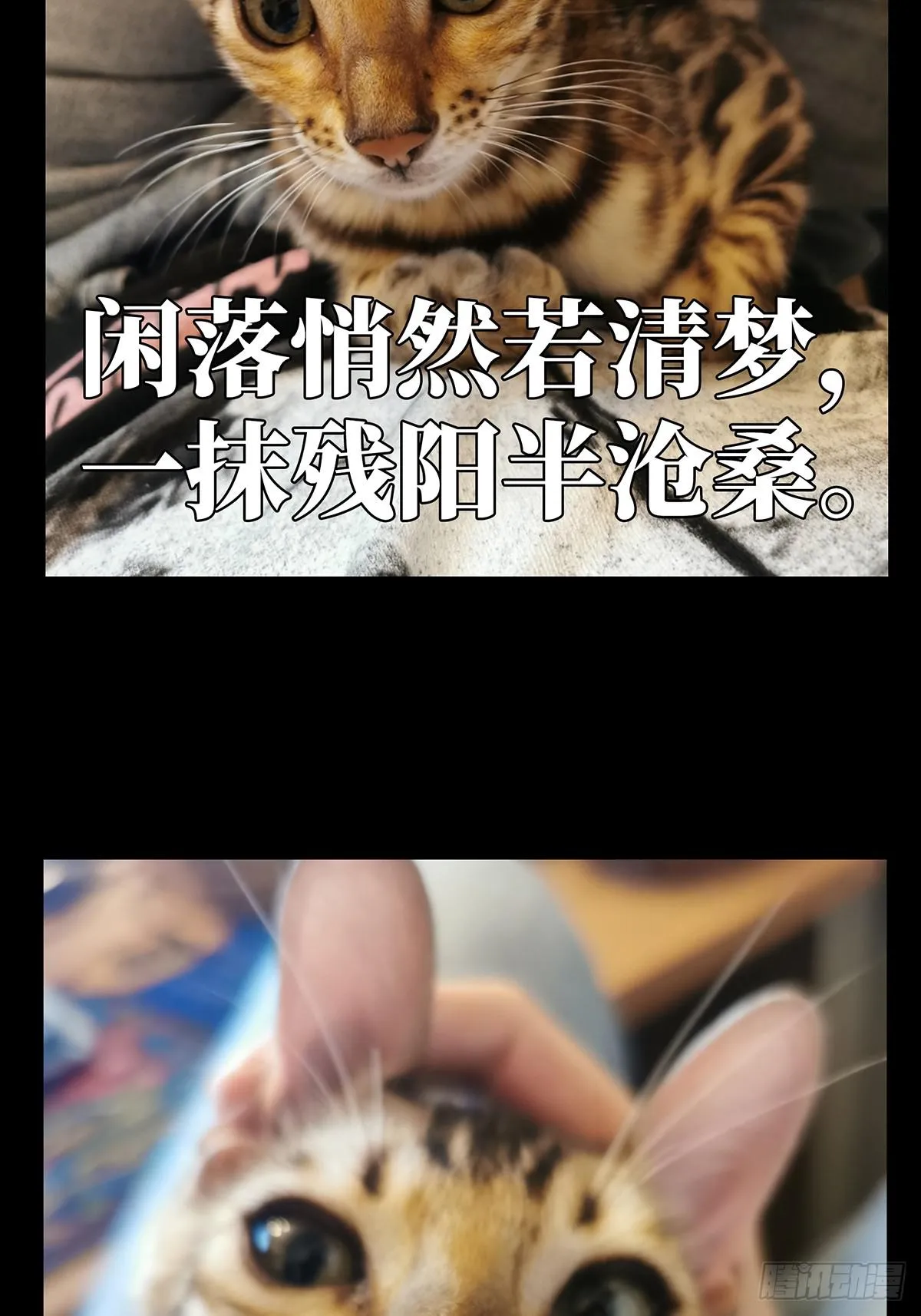 第七十章_至死不渝下 第38页