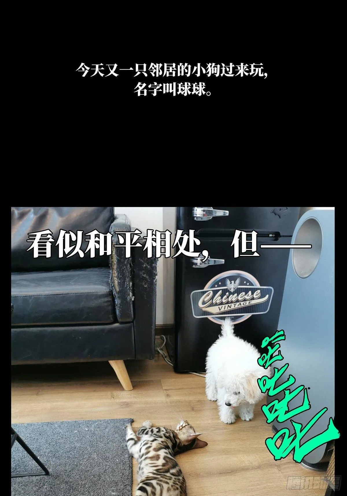 第七十二章_她中 第46页