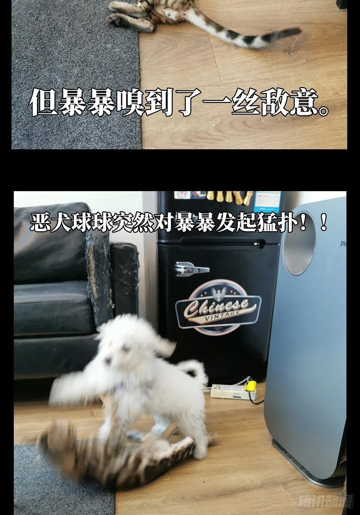 第七十二章_她中 第47页