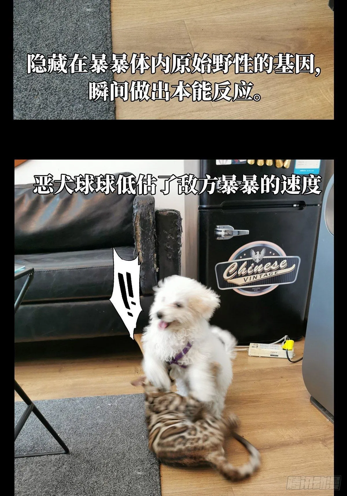 第七十二章_她中 第48页