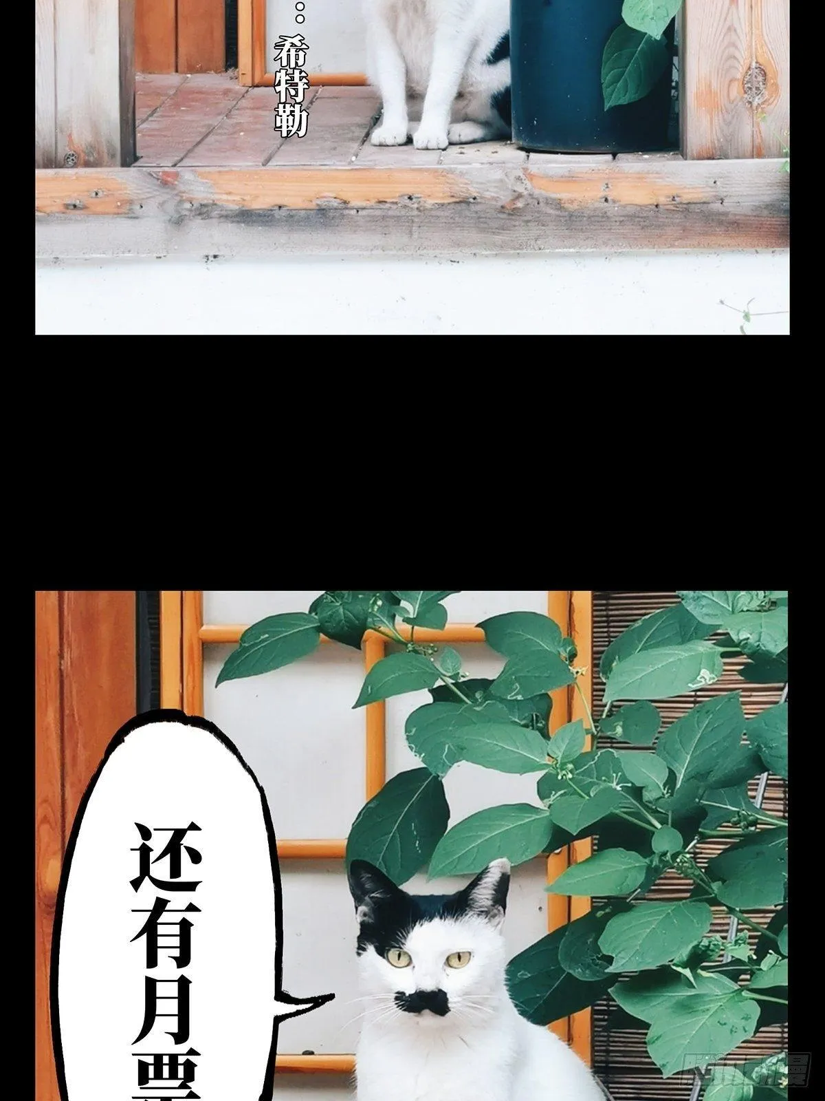 第七十三章_她下 第36页