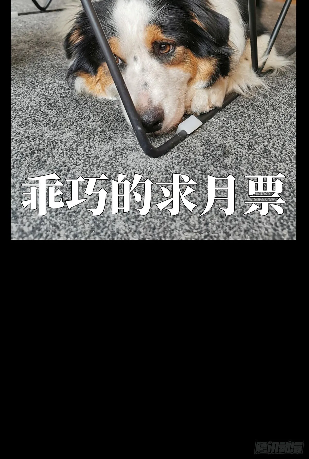 第七十一章_她上 第39页