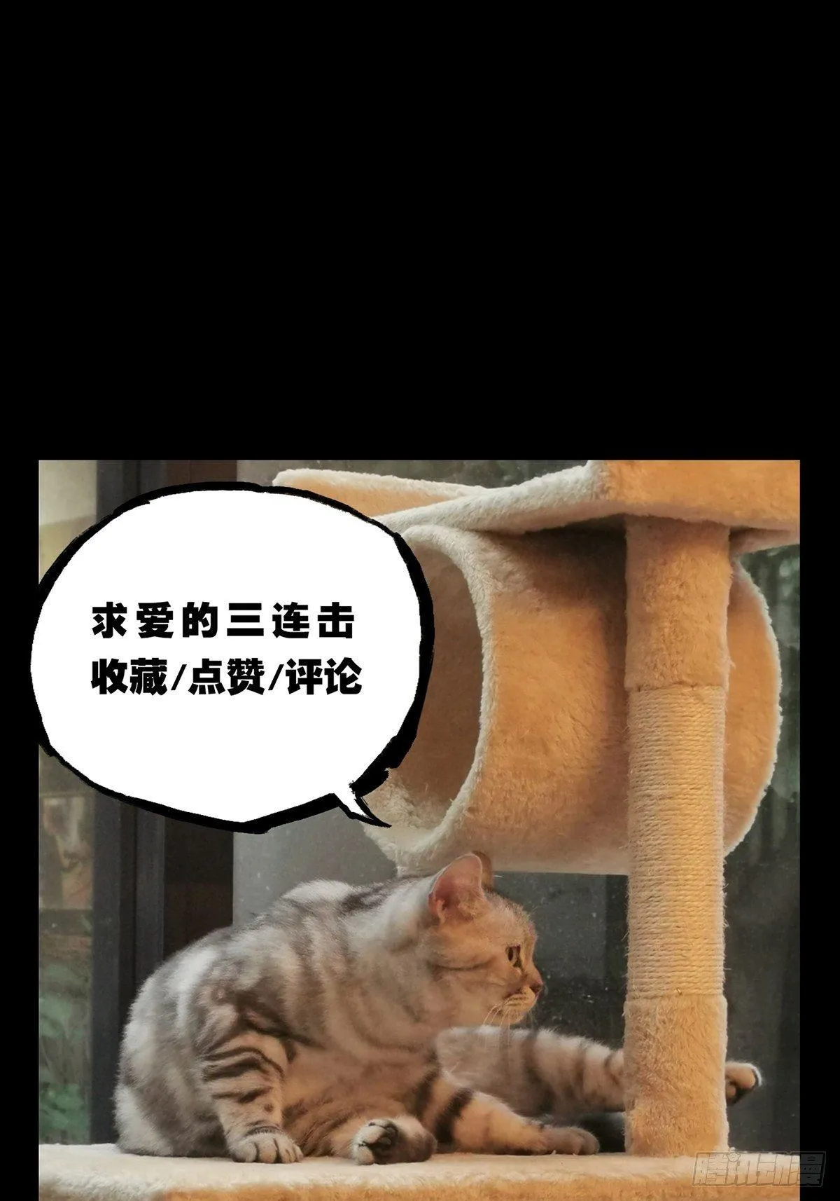 第七十五章_真相中 第45页