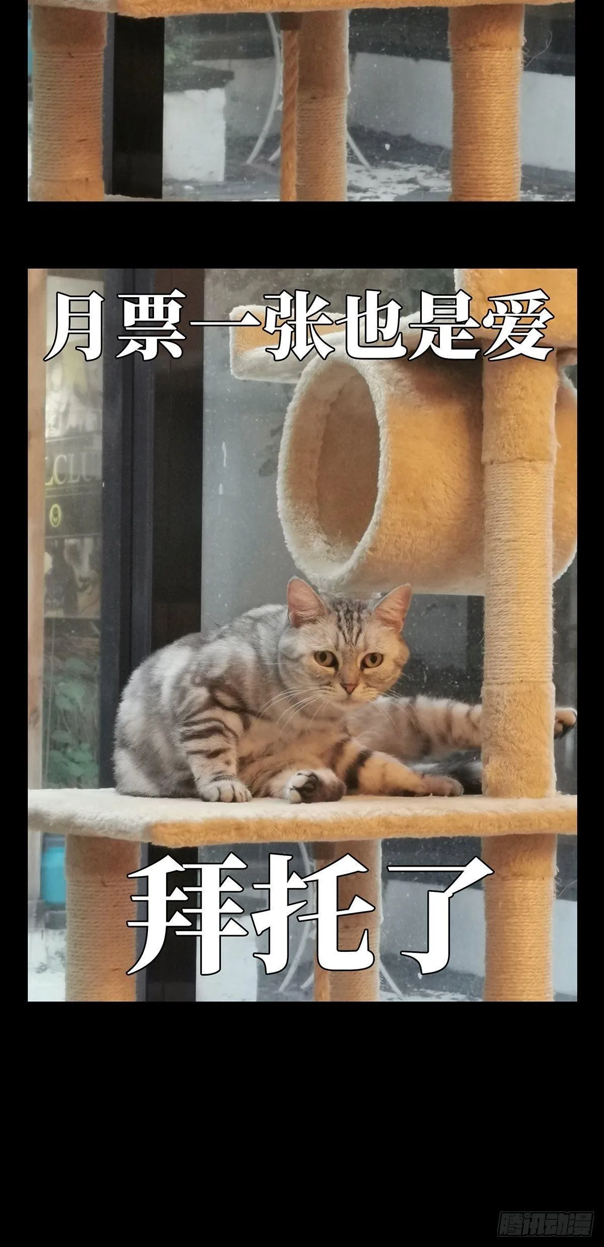 第七十五章_真相中 第46页