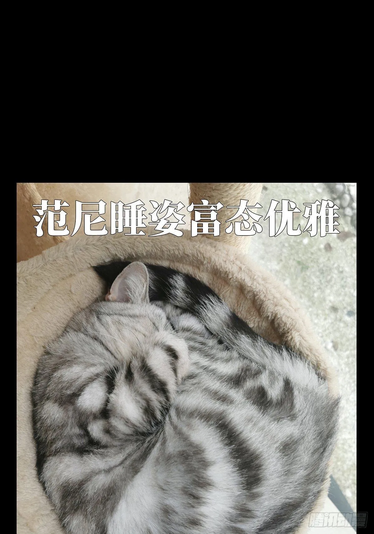 第七十八章_同门对决中 第41页