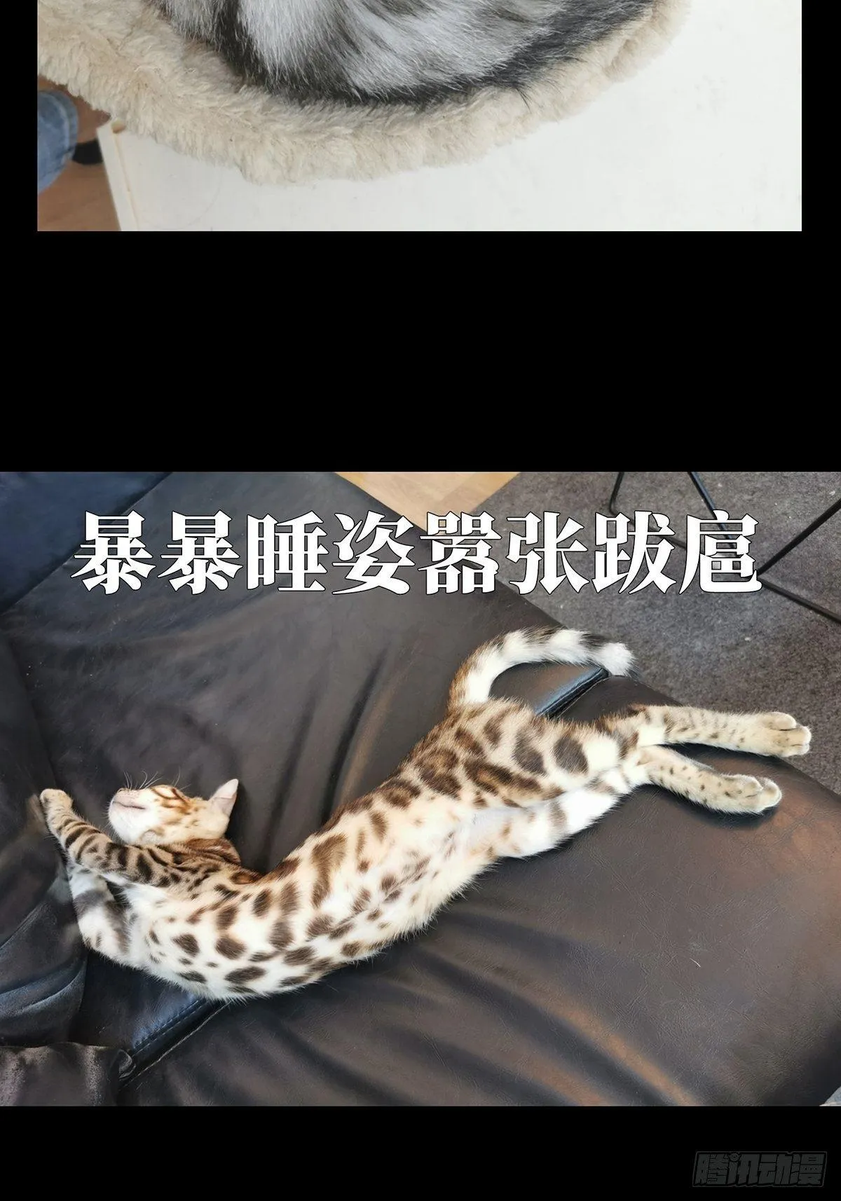 第七十八章_同门对决中 第42页