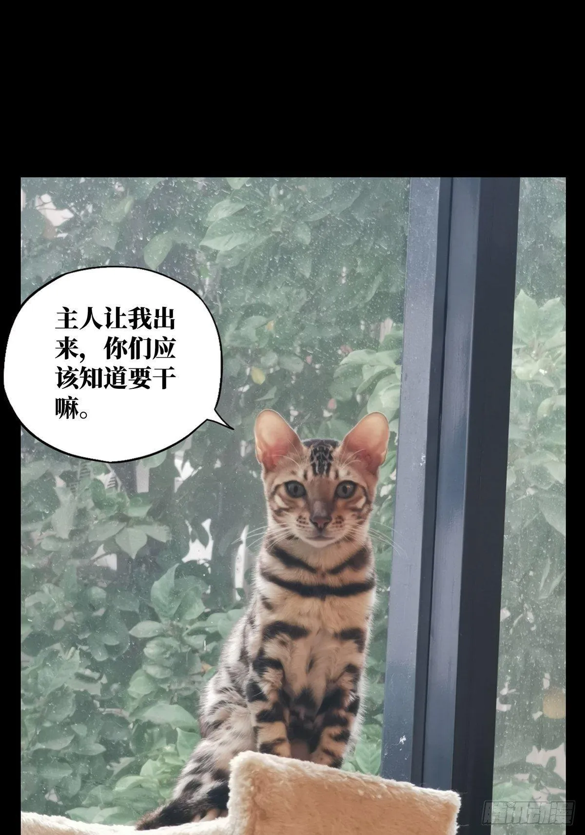第八十章_交易上 第34页