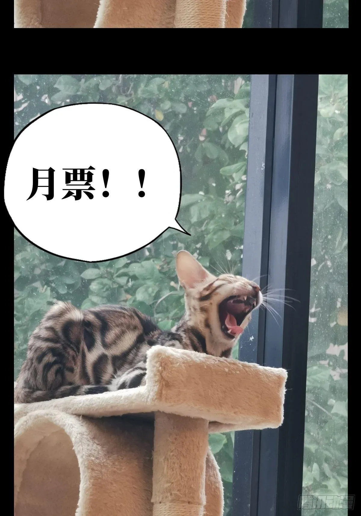 第八十章_交易上 第36页